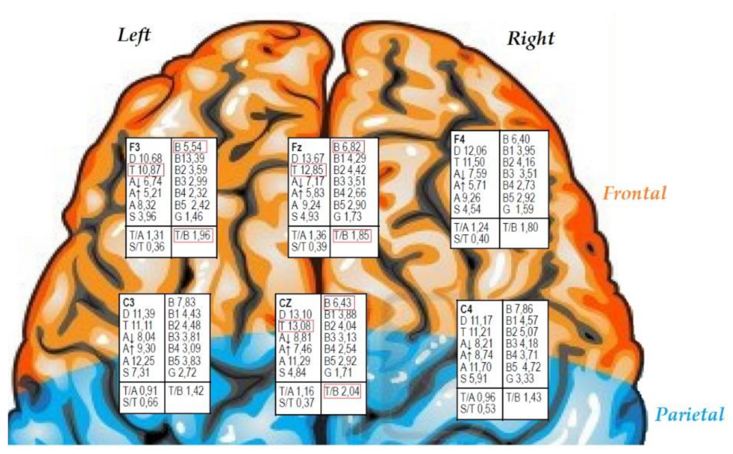 Ijerph 19 00191 g001 550