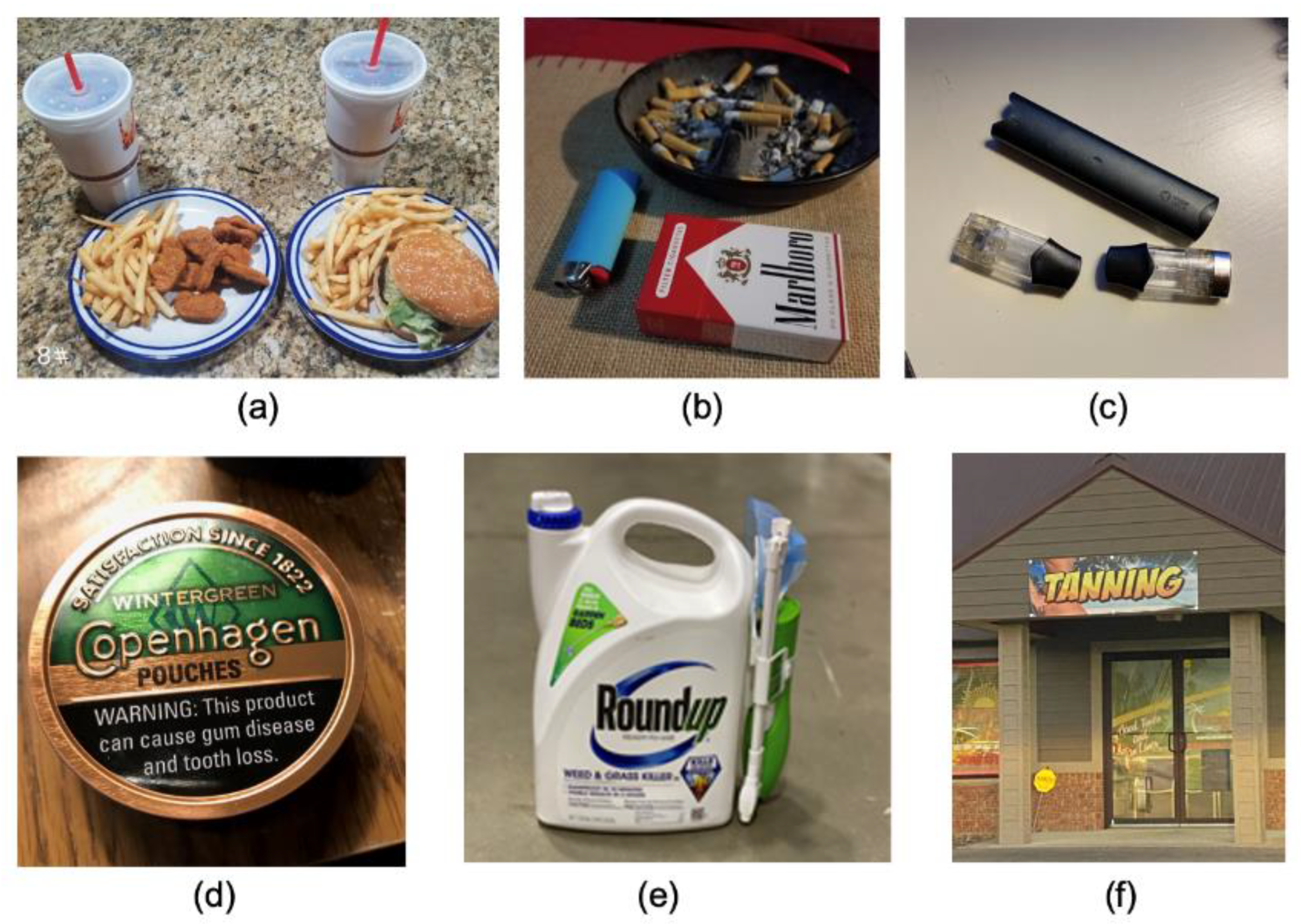 Ijerph 19 00205 g001 550