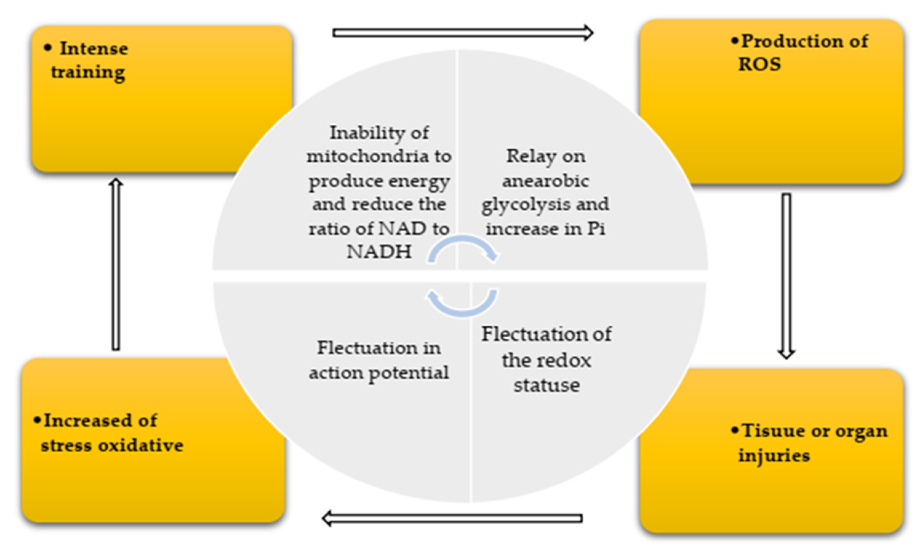 Ijerph 19 00218 g002 550