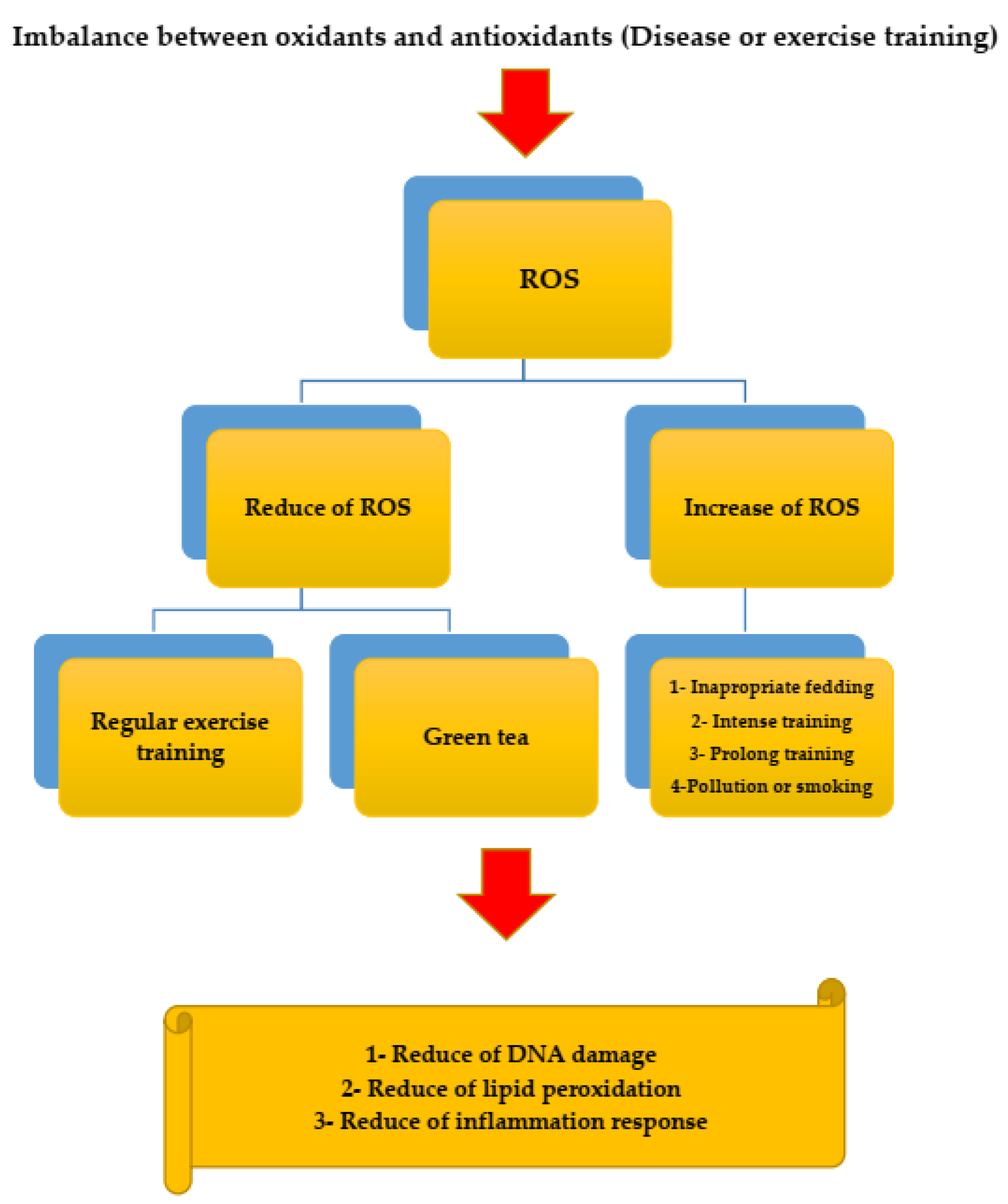 Ijerph 19 00218 g003 550