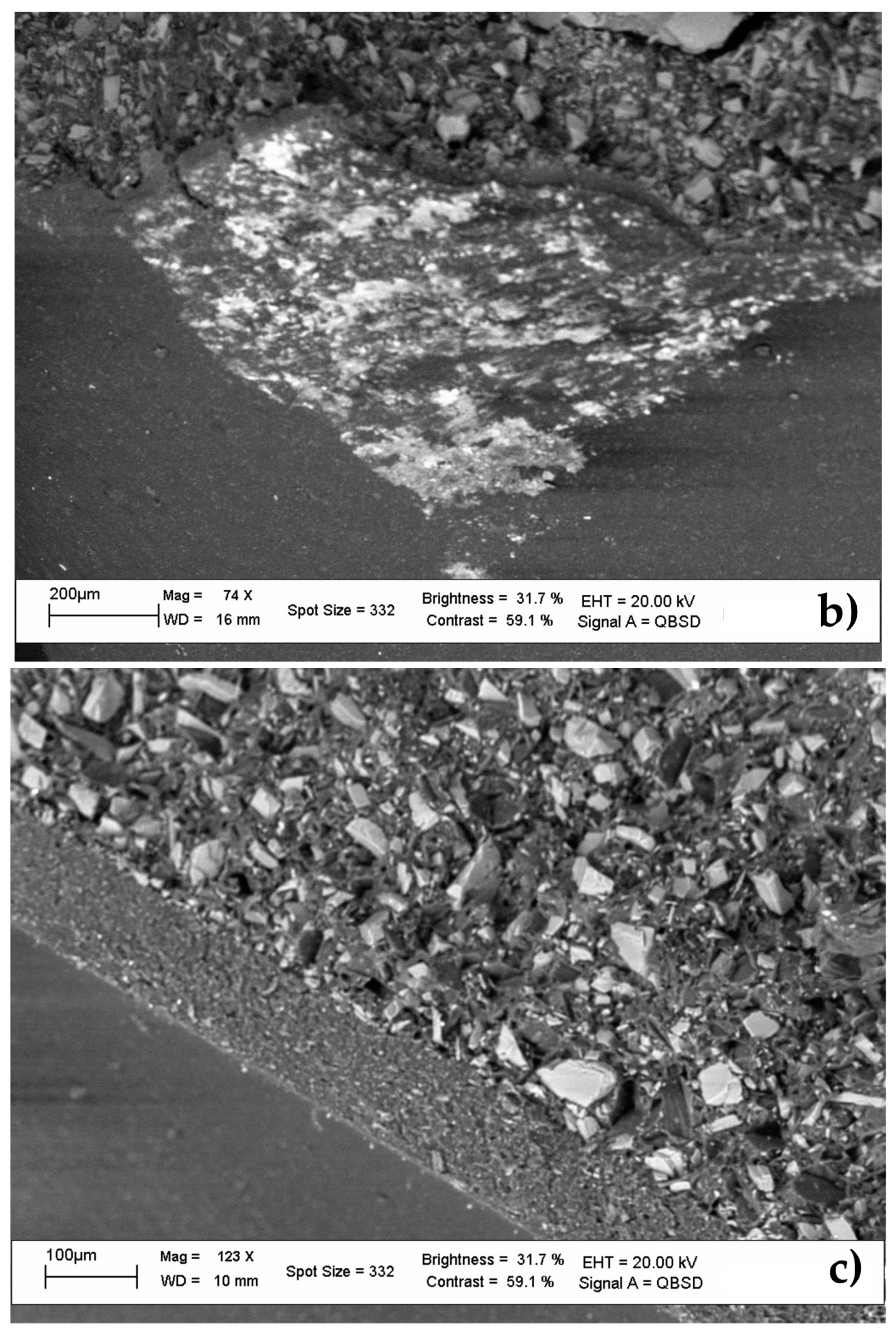 Ijerph 19 00236 g002b 550