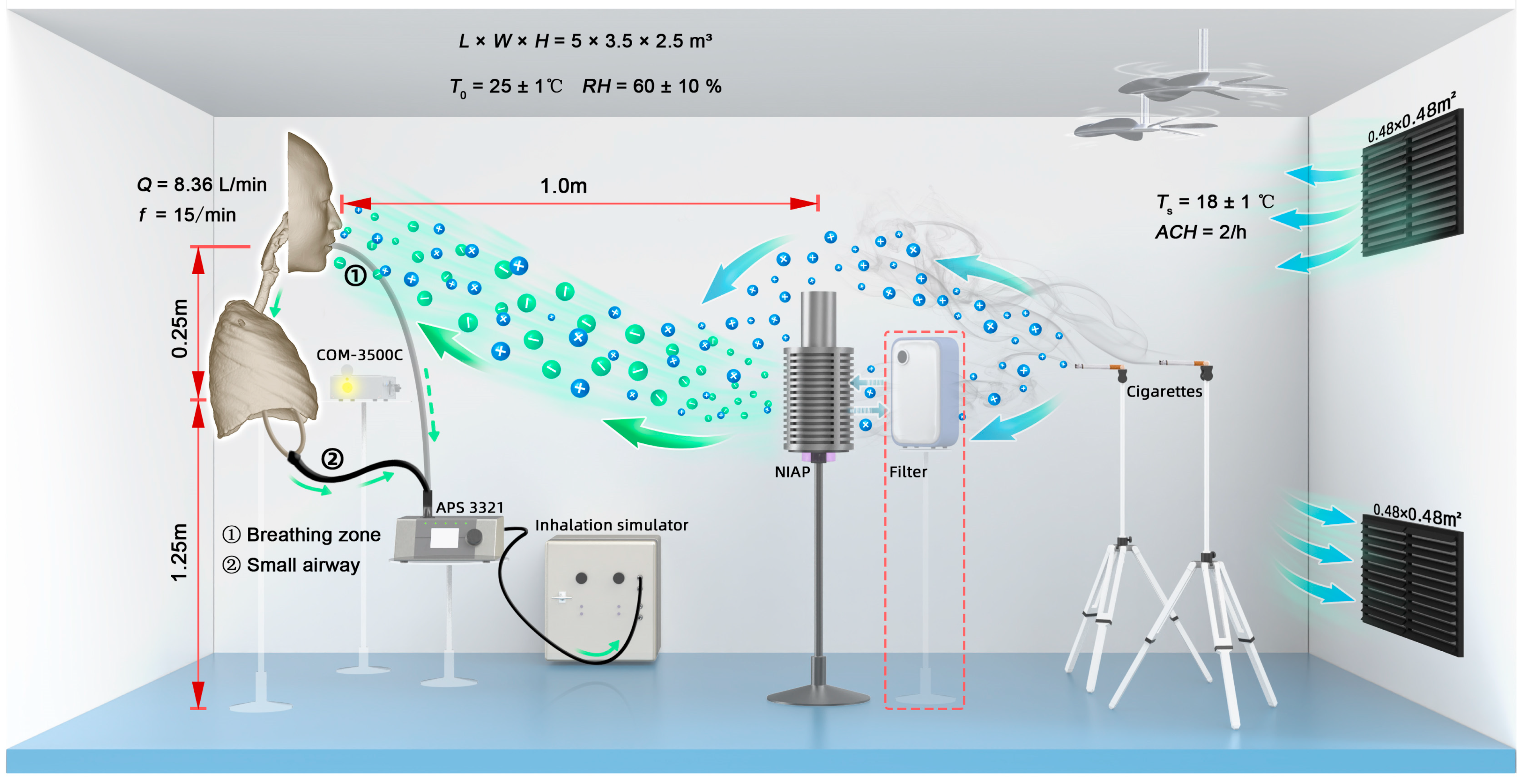 Ijerph 19 00264 g002