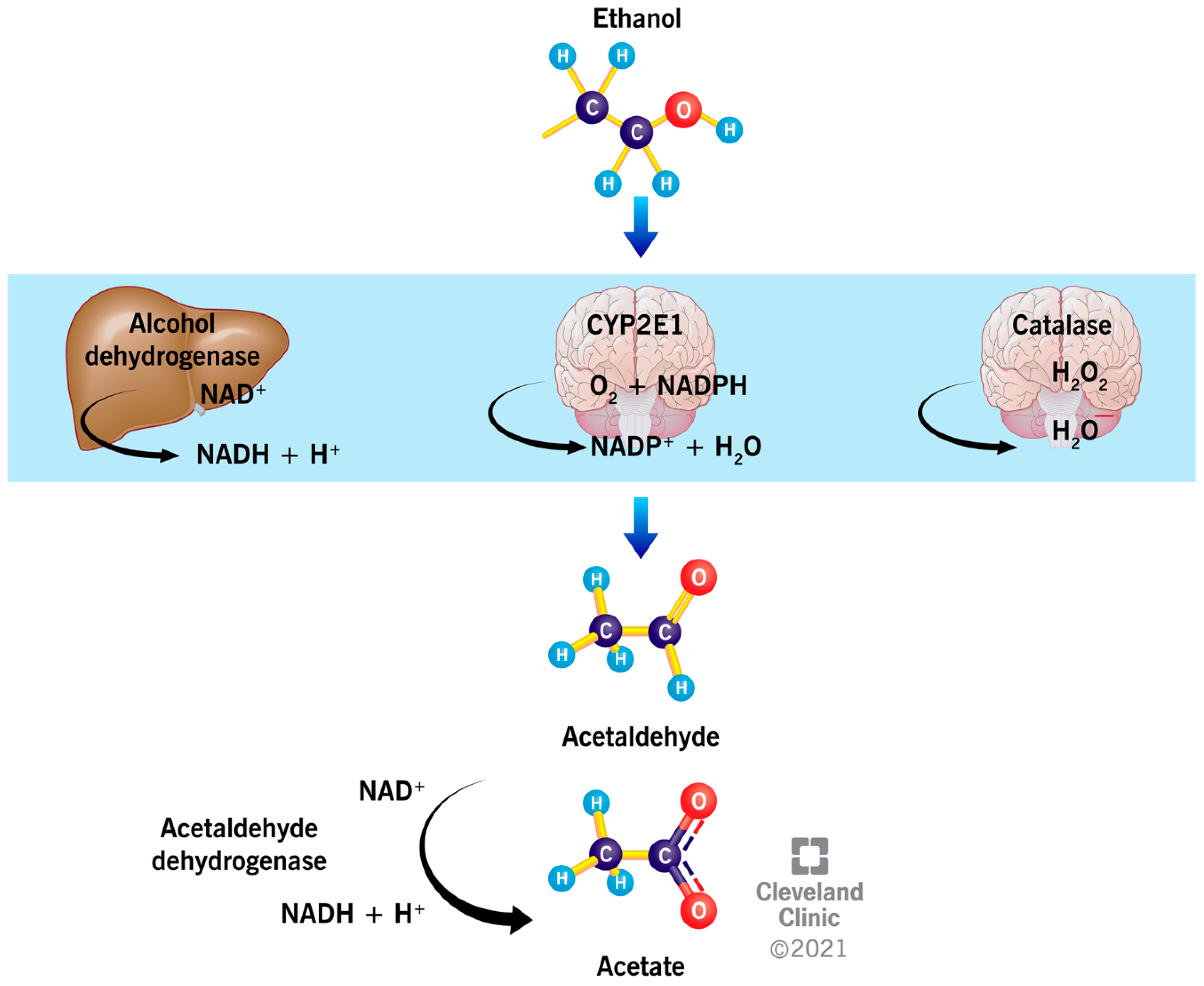 Ijerph 19 00328 g001 Ijerph 19 00328 g001