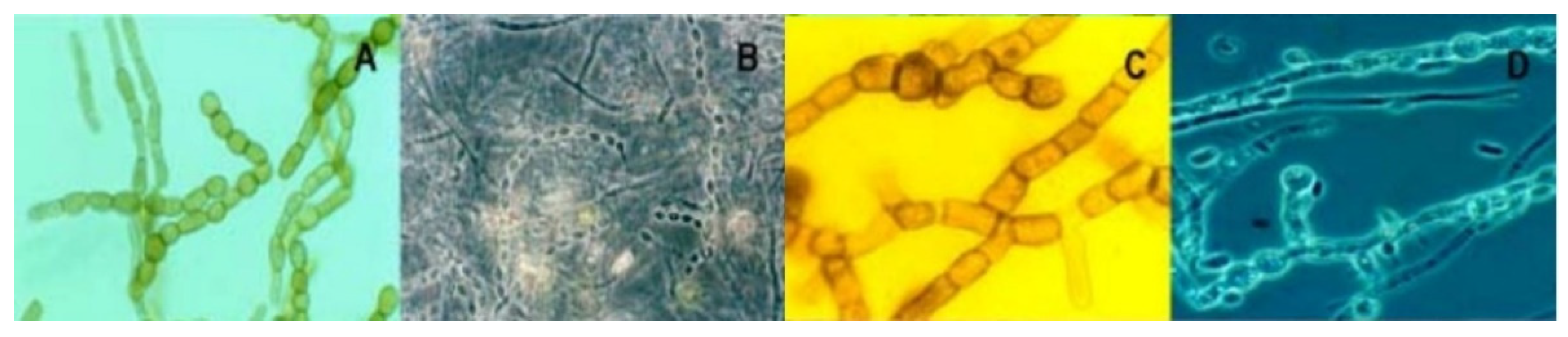 Ijerph 19 00376 g003 Ijerph 19 00376 g003