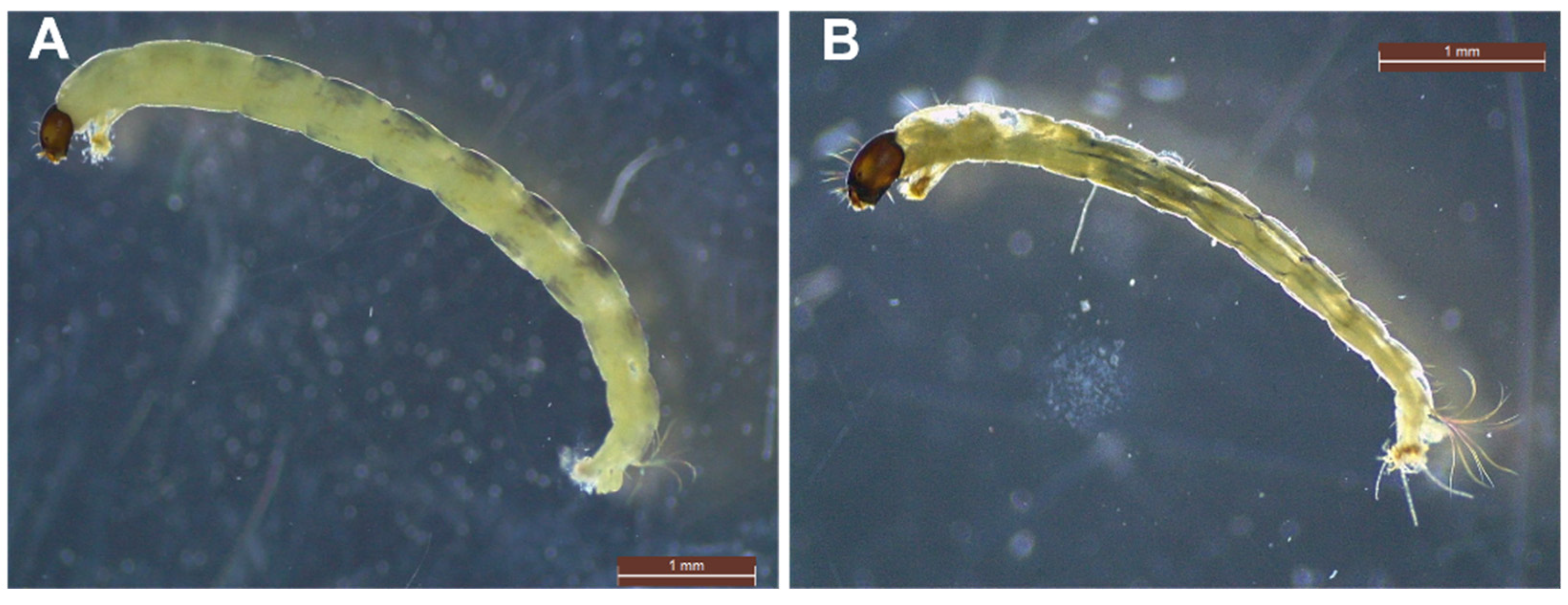 Ijerph 19 00376 g004 Ijerph 19 00376 g004