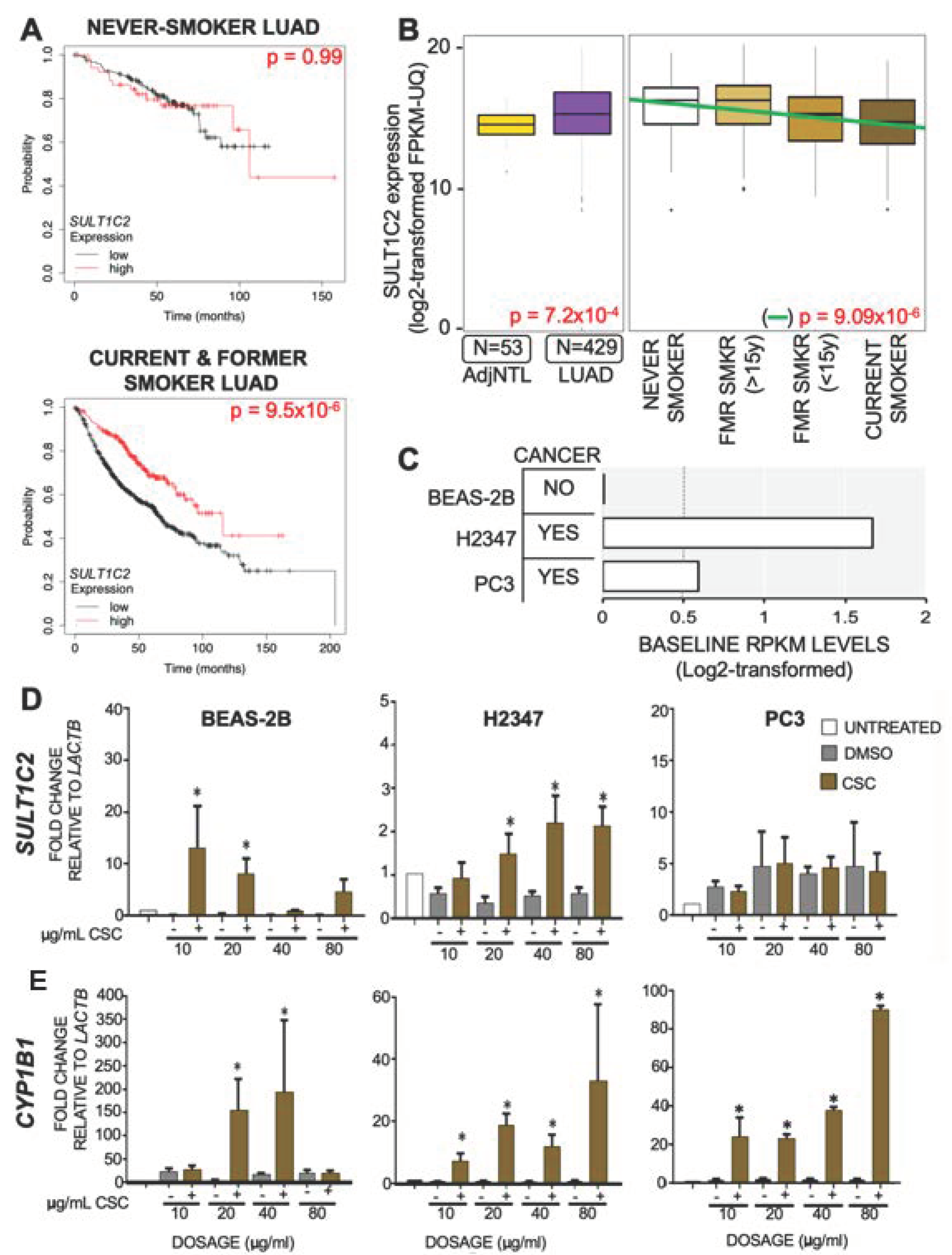Ijerph 19 00416 g001