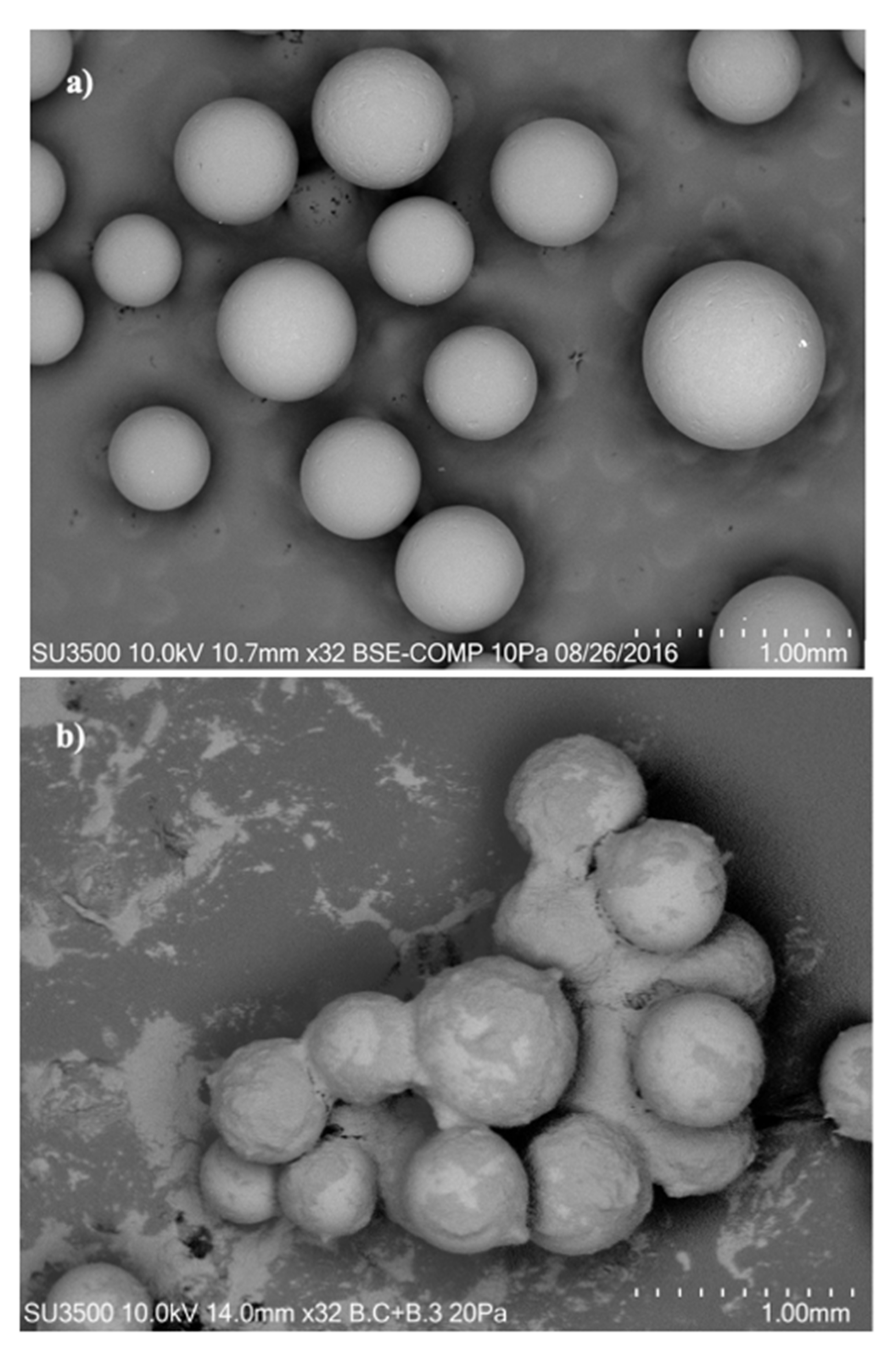 Ijerph 19 00442 g006 550