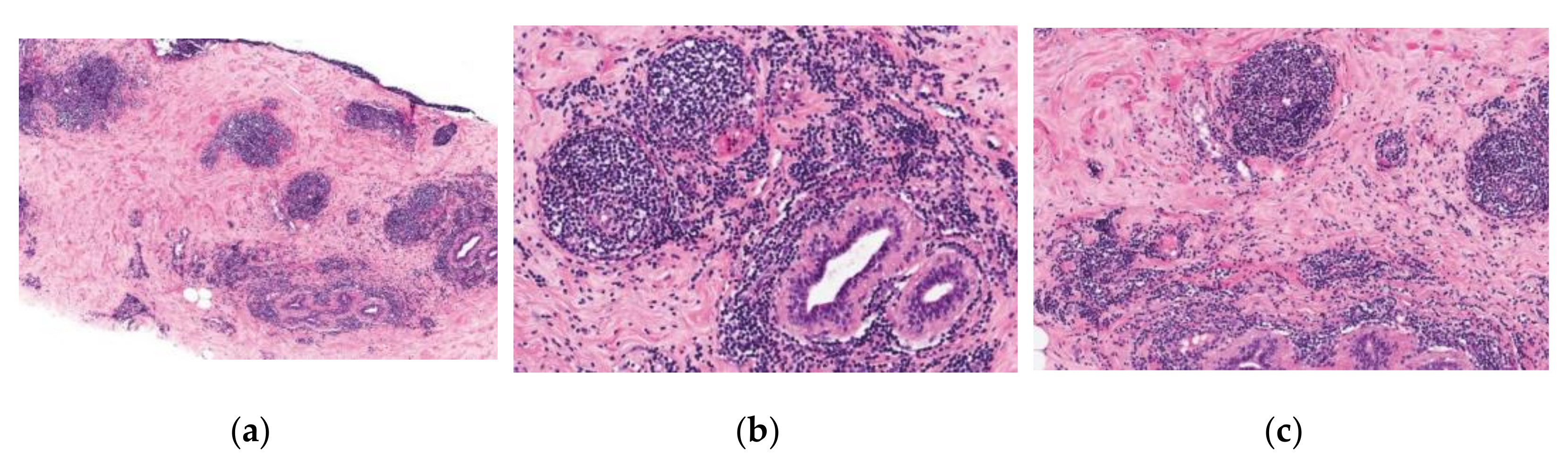 Ijerph 19 00448 g001