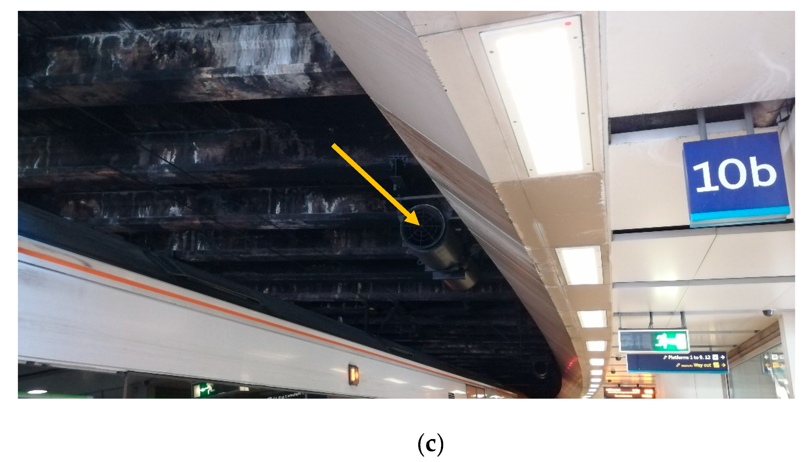 Ijerph 19 00575 g002b