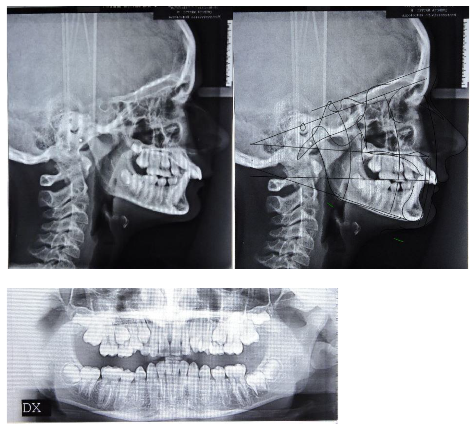 Ijerph 19 00651 g001b 550