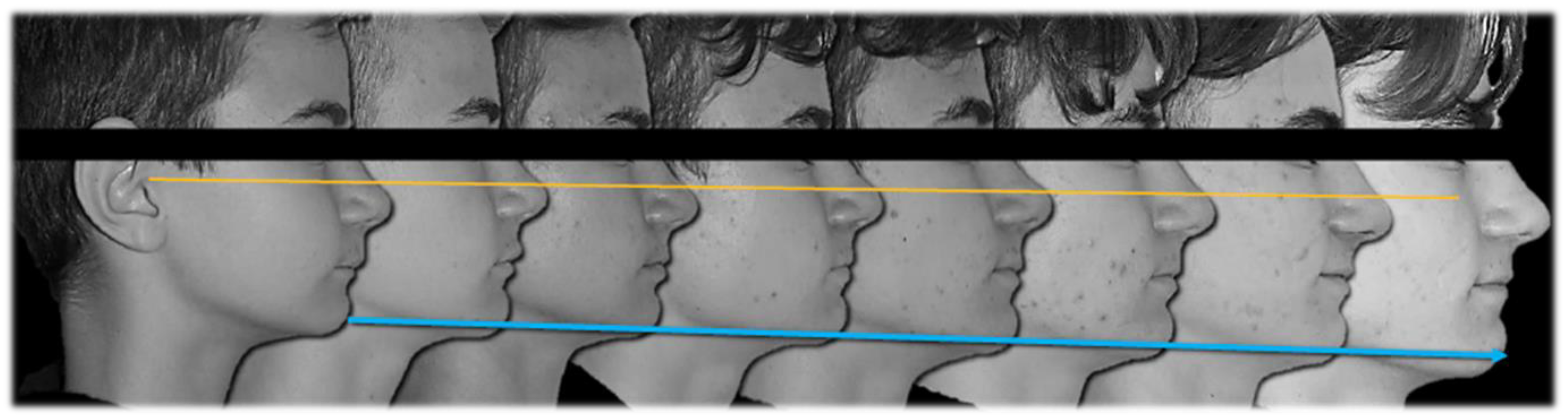 Ijerph 19 00651 g005 550