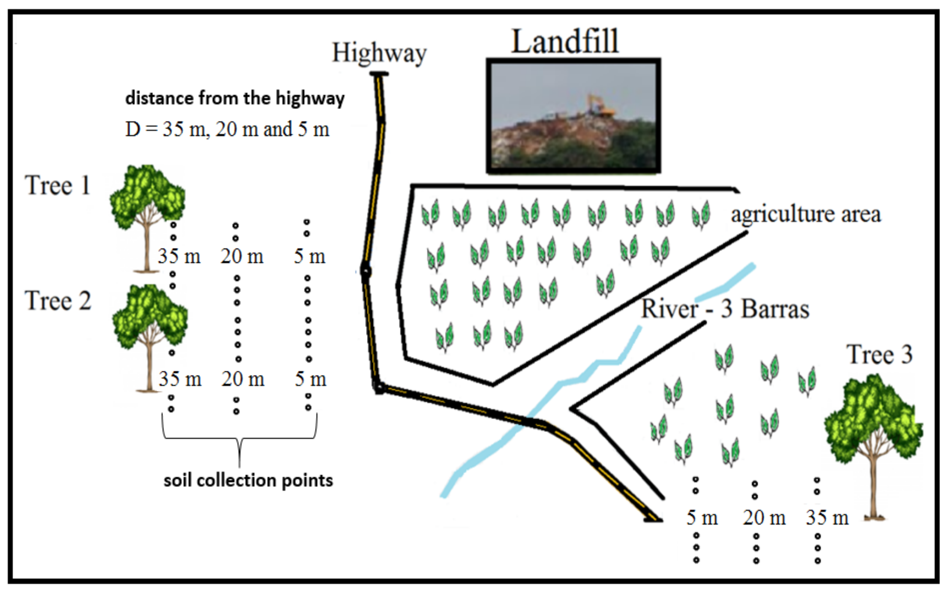 Ijerph 19 00660 g001