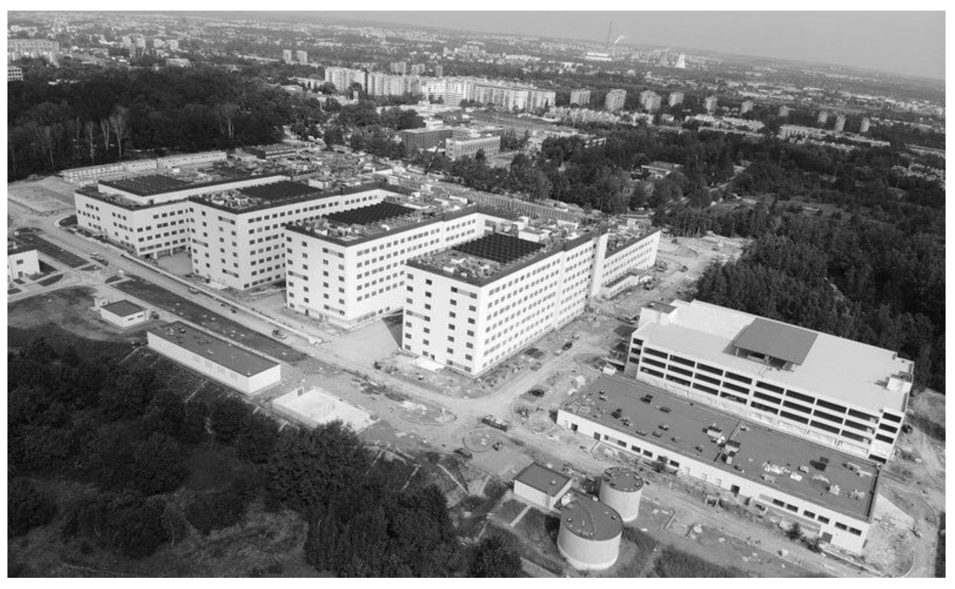 Ijerph 19 00675 g005 550