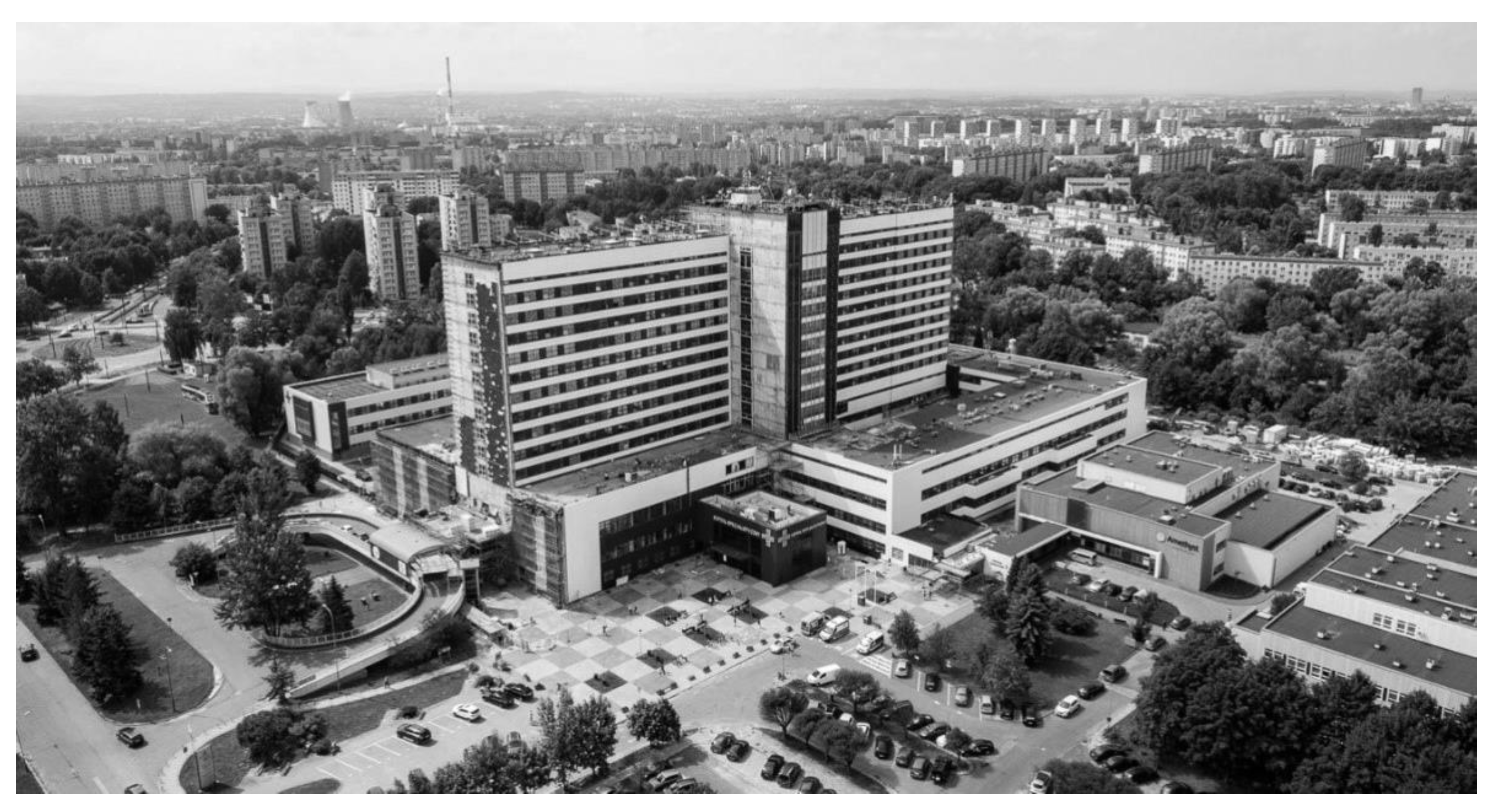 Ijerph 19 00675 g007 550