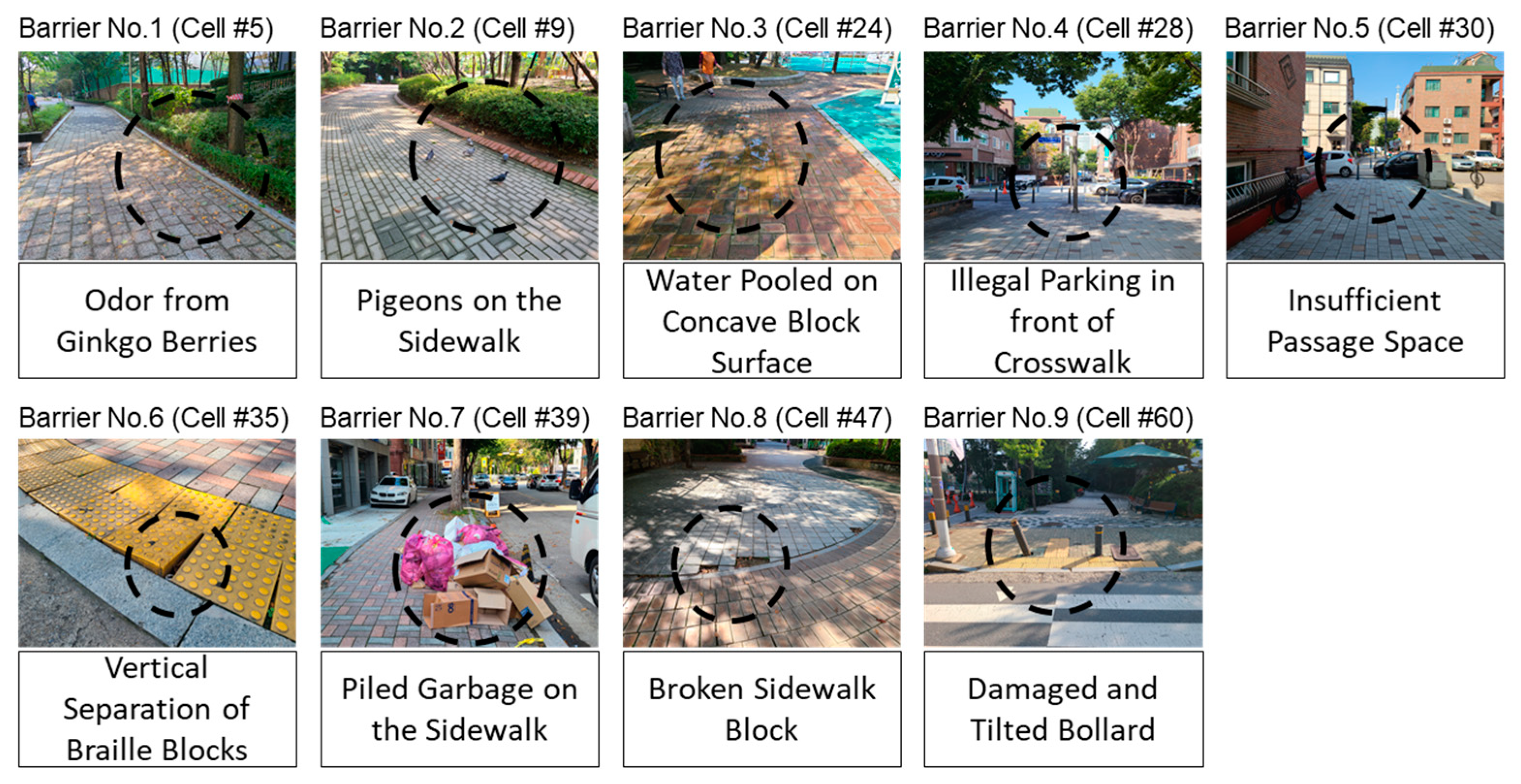 Ijerph 19 00704 g003