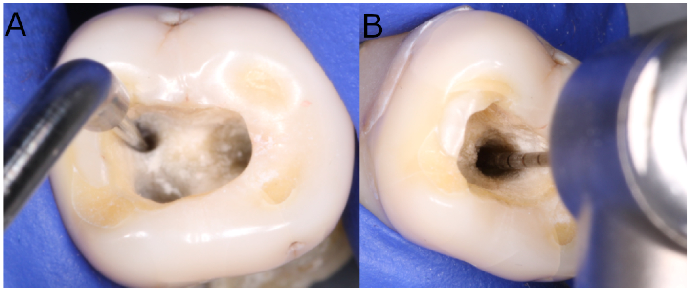 Ijerph 19 00718 g001