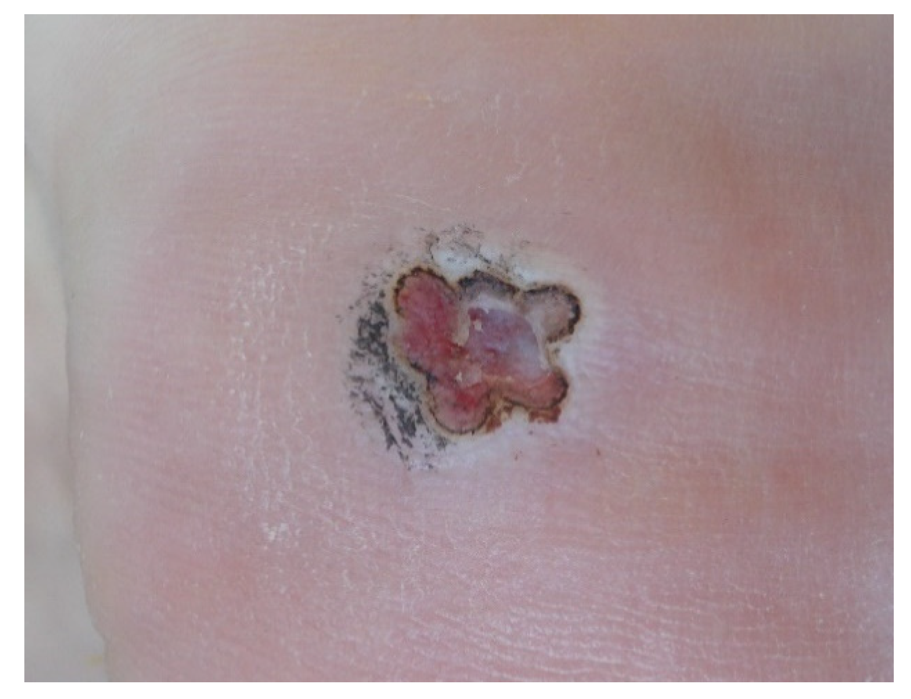 Ijerph 19 00801 g004