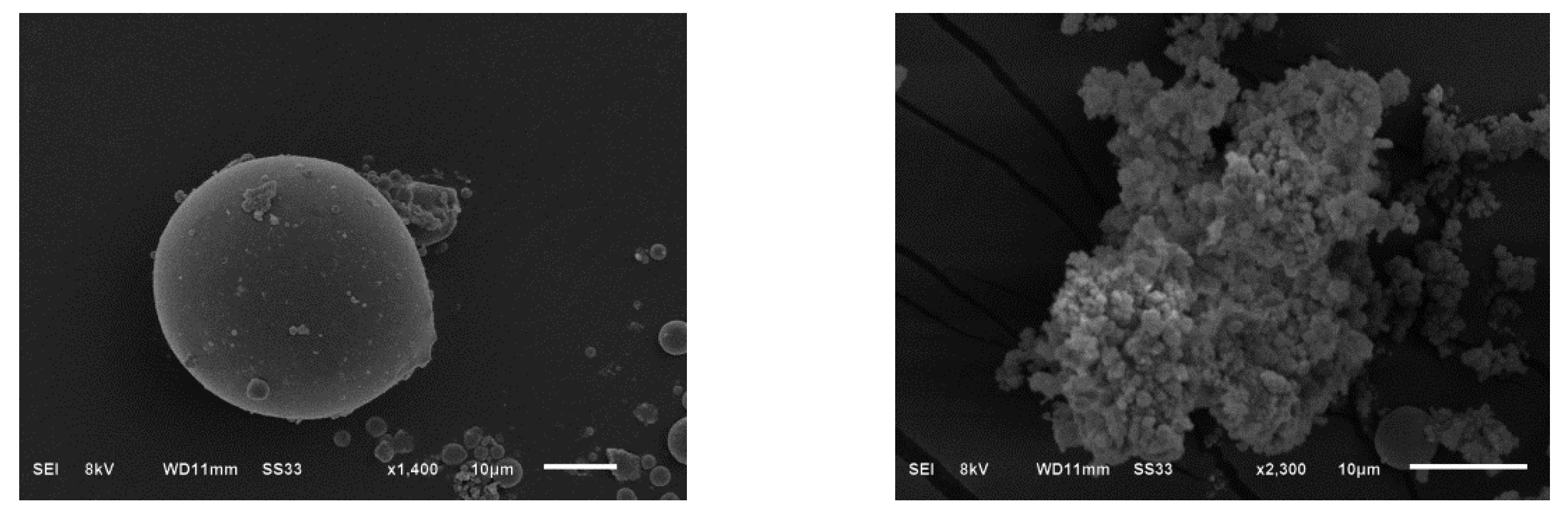 Ijerph 19 00856 g004