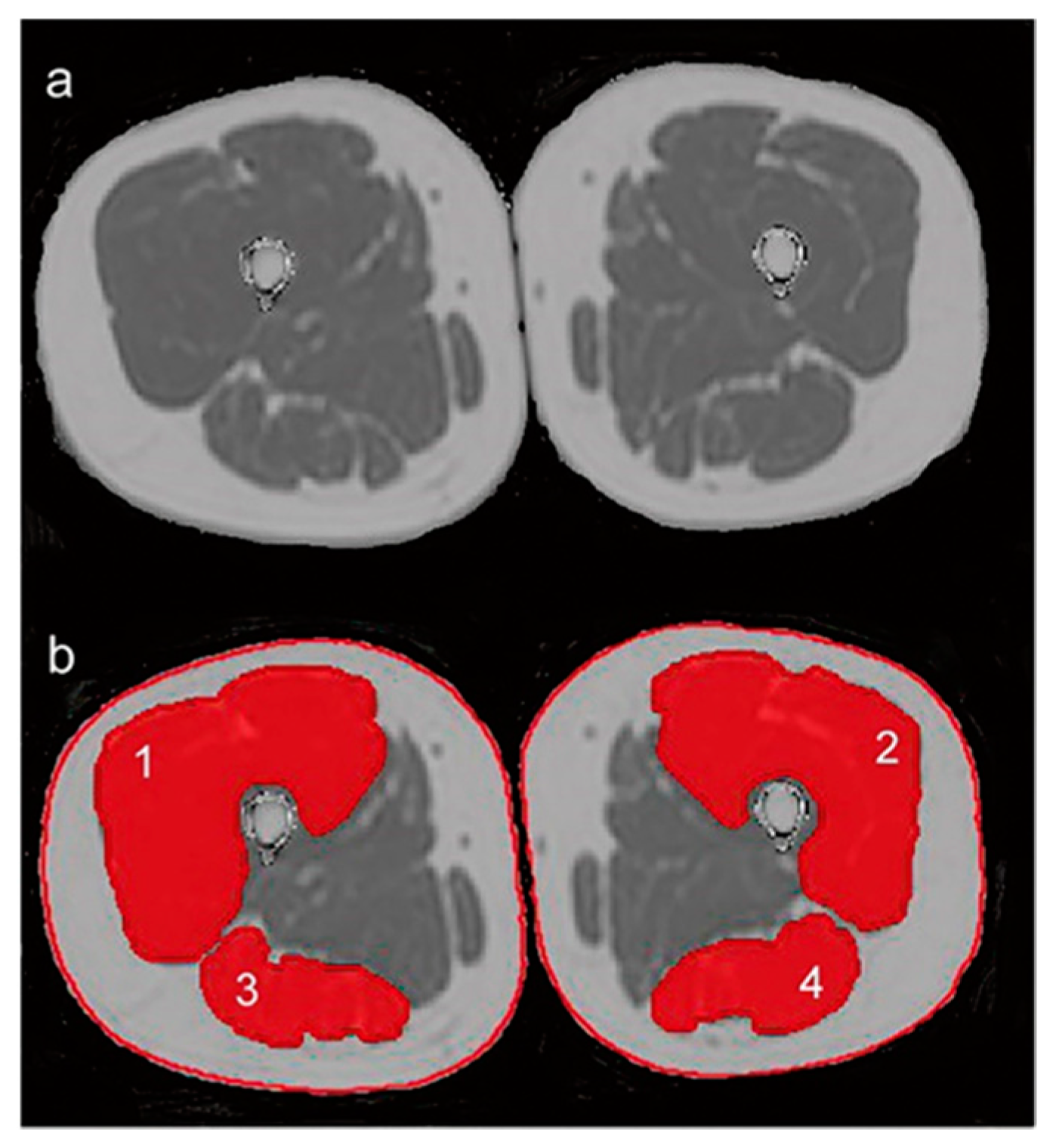 Ijerph 19 00874 g001 550