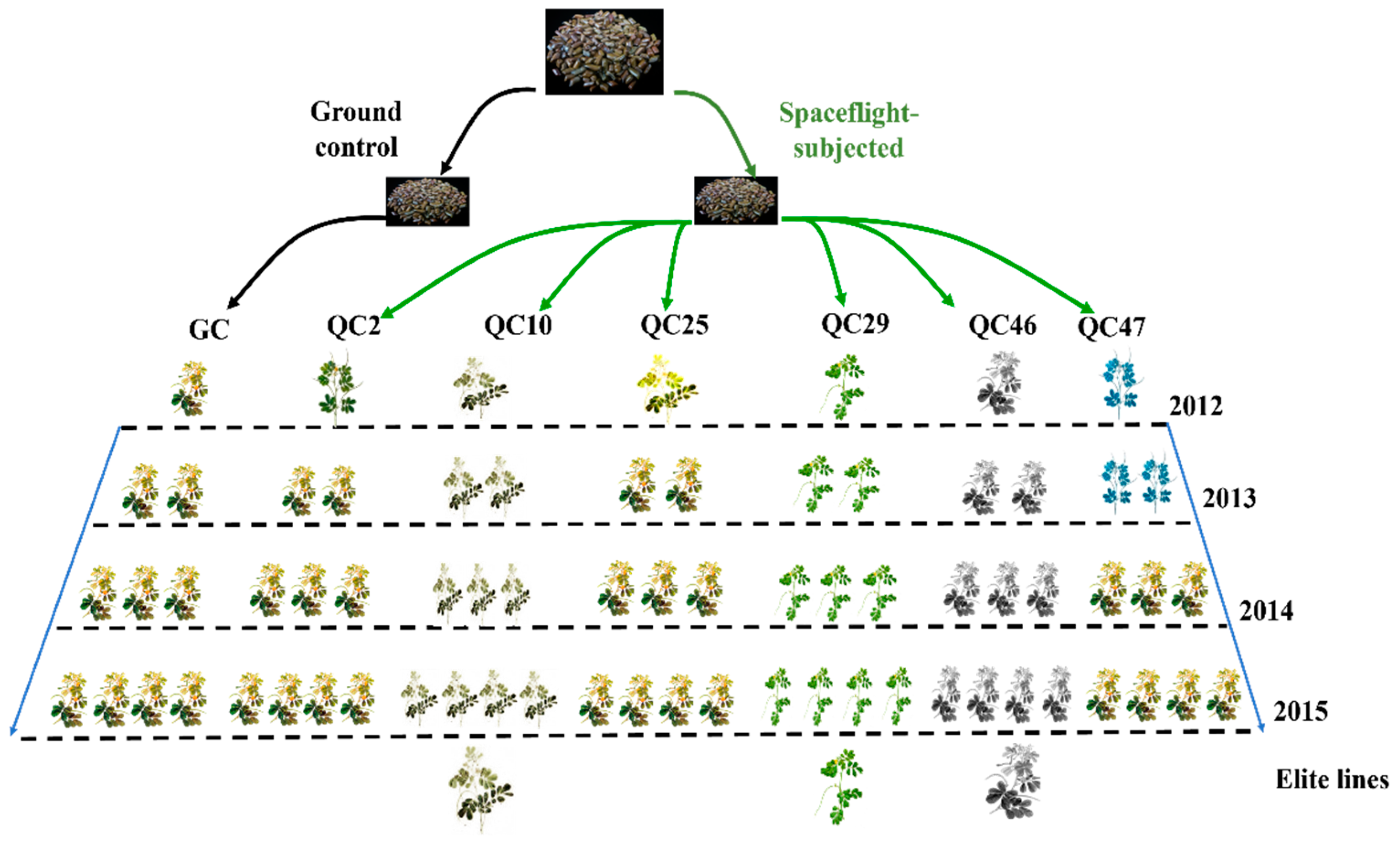 Ijerph 19 00898 g001 550