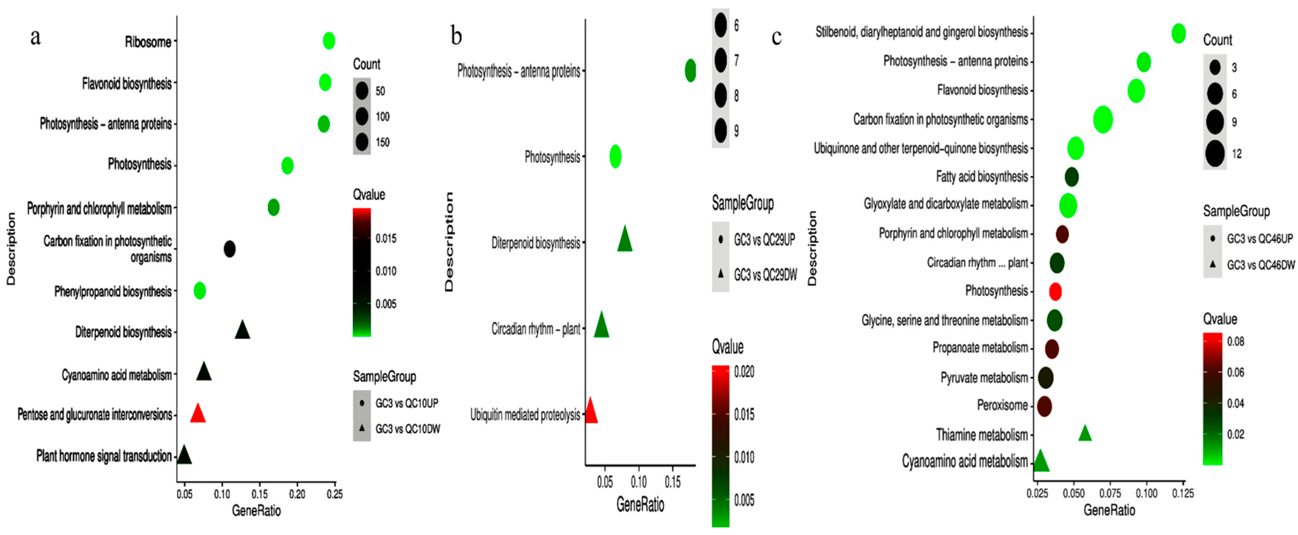 Ijerph 19 00898 g007 550