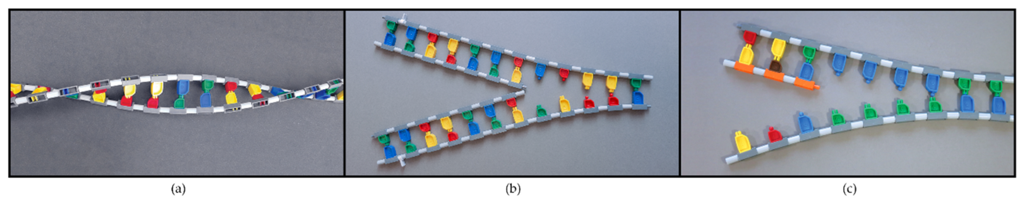 Ijerph 19 00929 g002