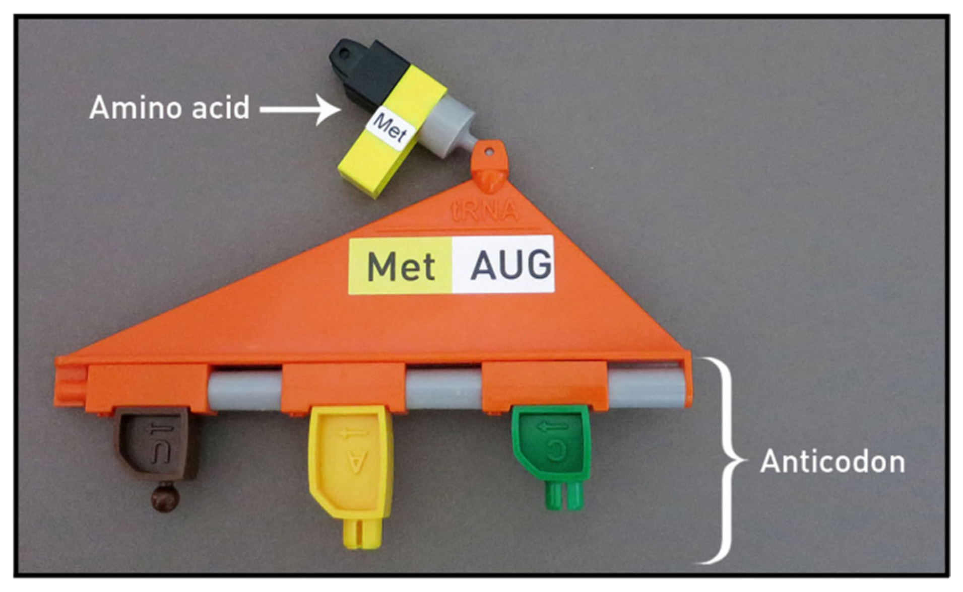 Ijerph 19 00929 g005