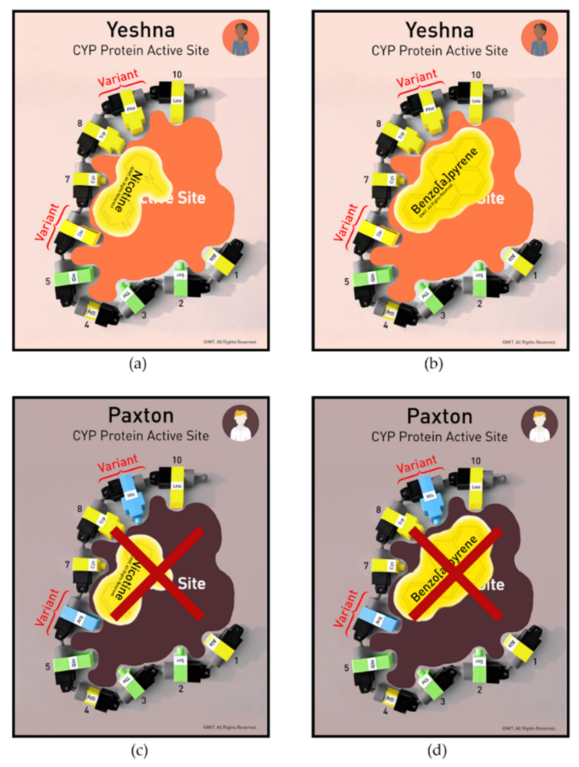 Ijerph 19 00929 g010