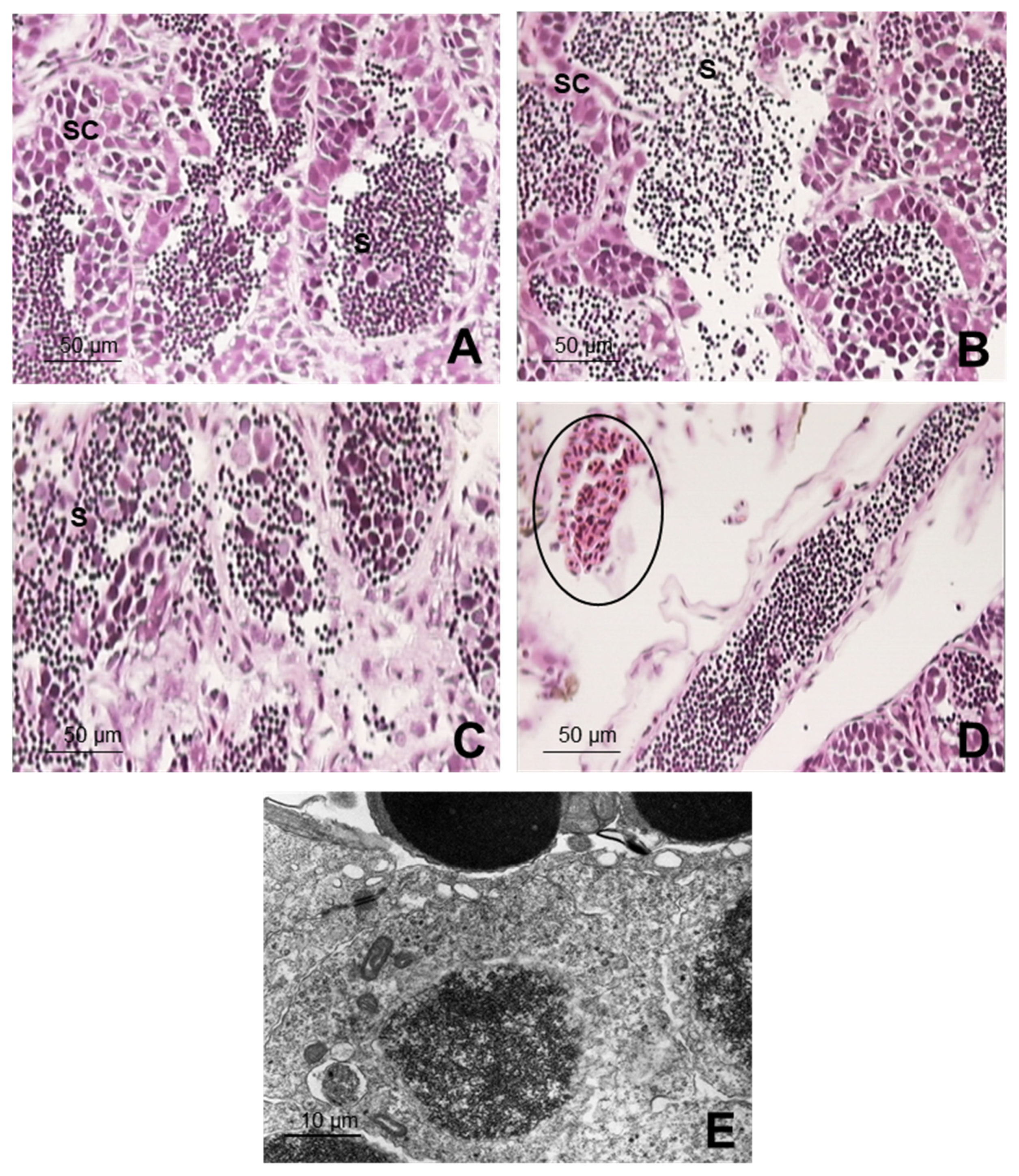 Ijerph 19 00962 g004