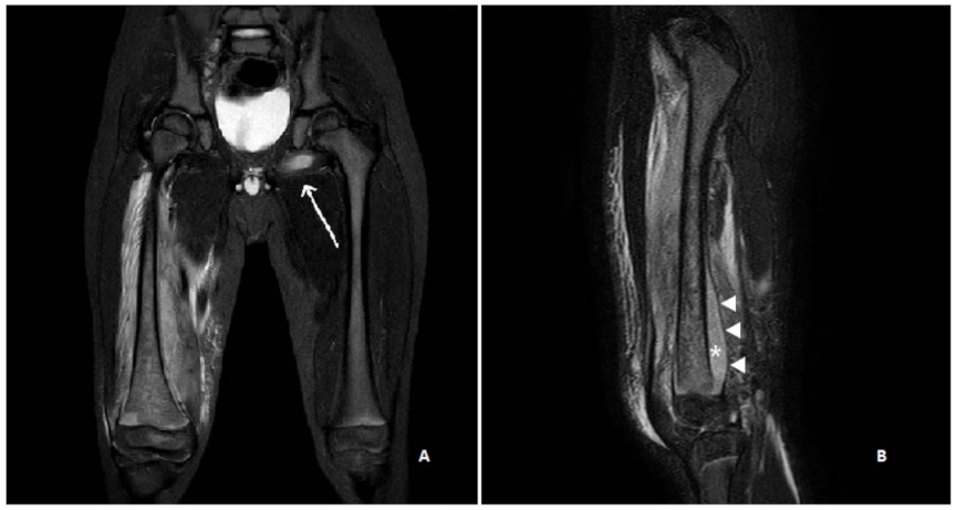 Ijerph 19 01007 g001