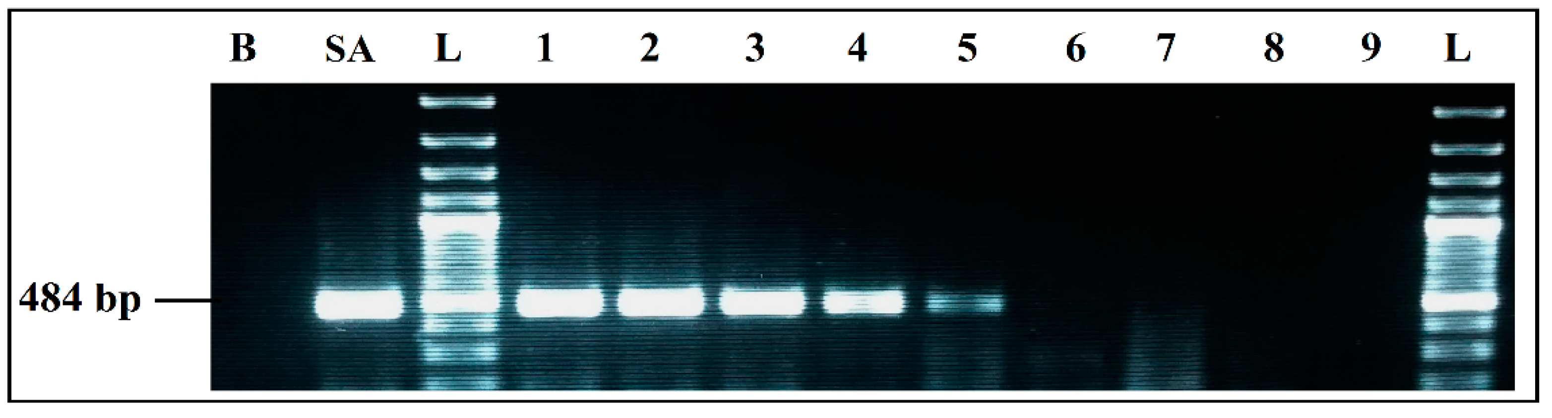 Ijerph 19 01031 g003