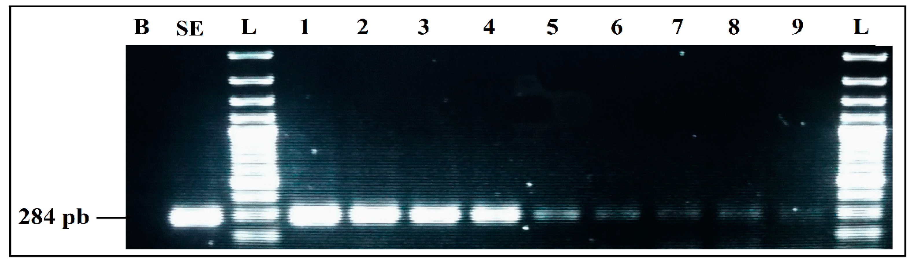 Ijerph 19 01031 g005