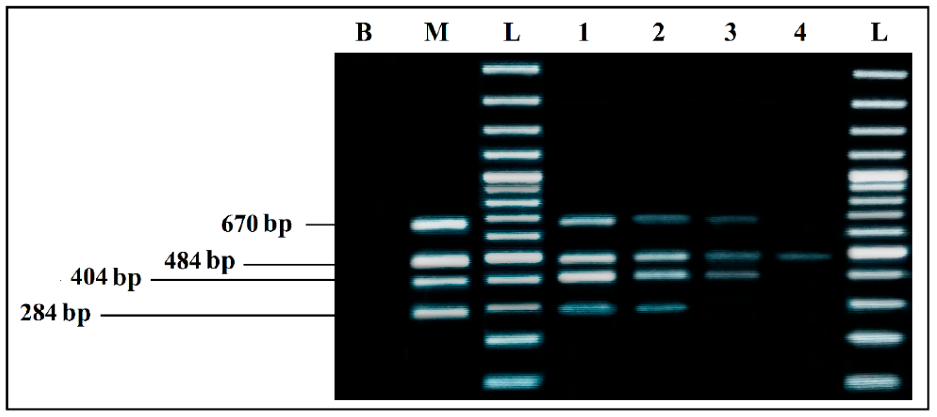 Ijerph 19 01031 g006