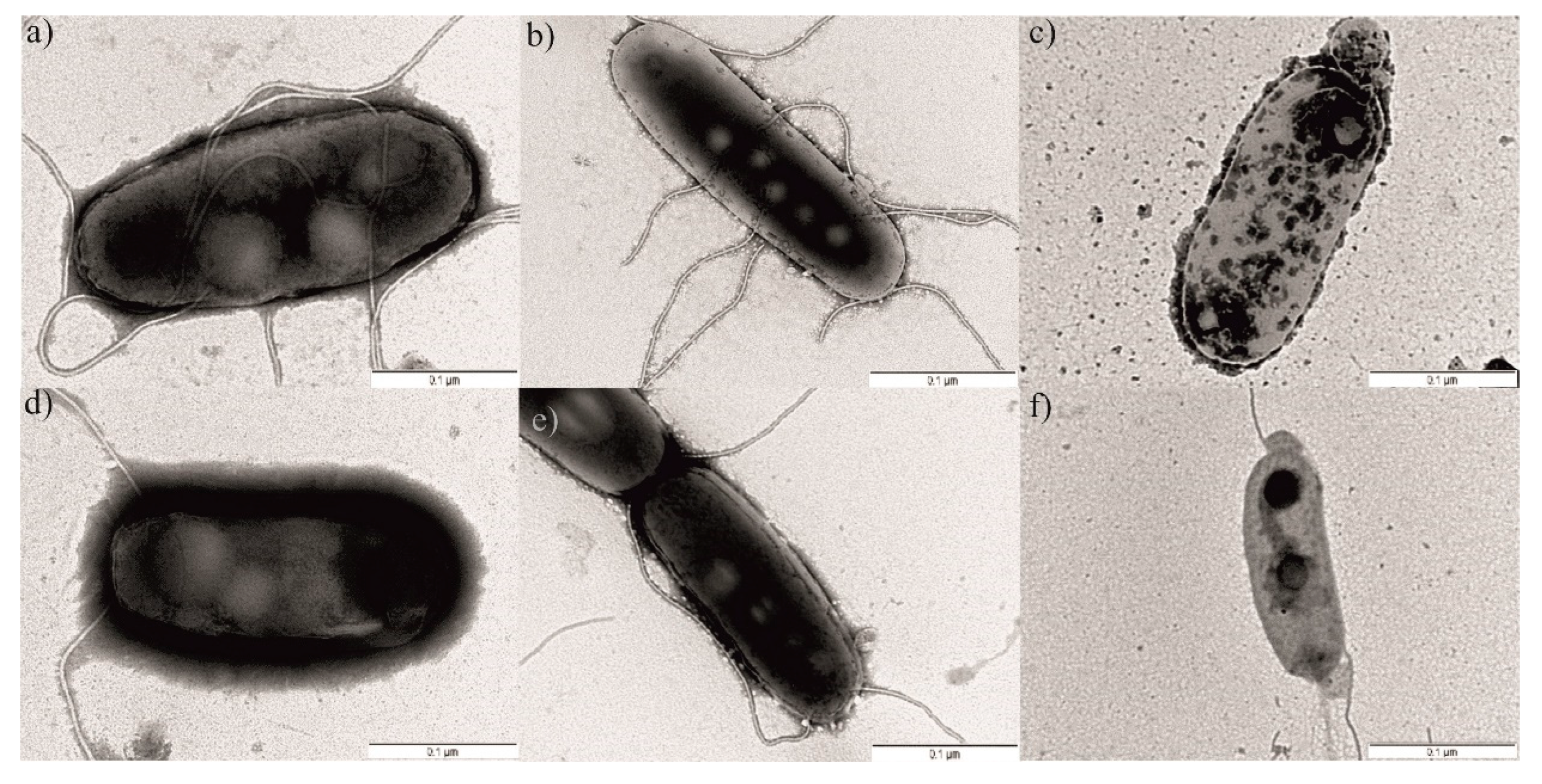 Ijerph 19 01099 g008