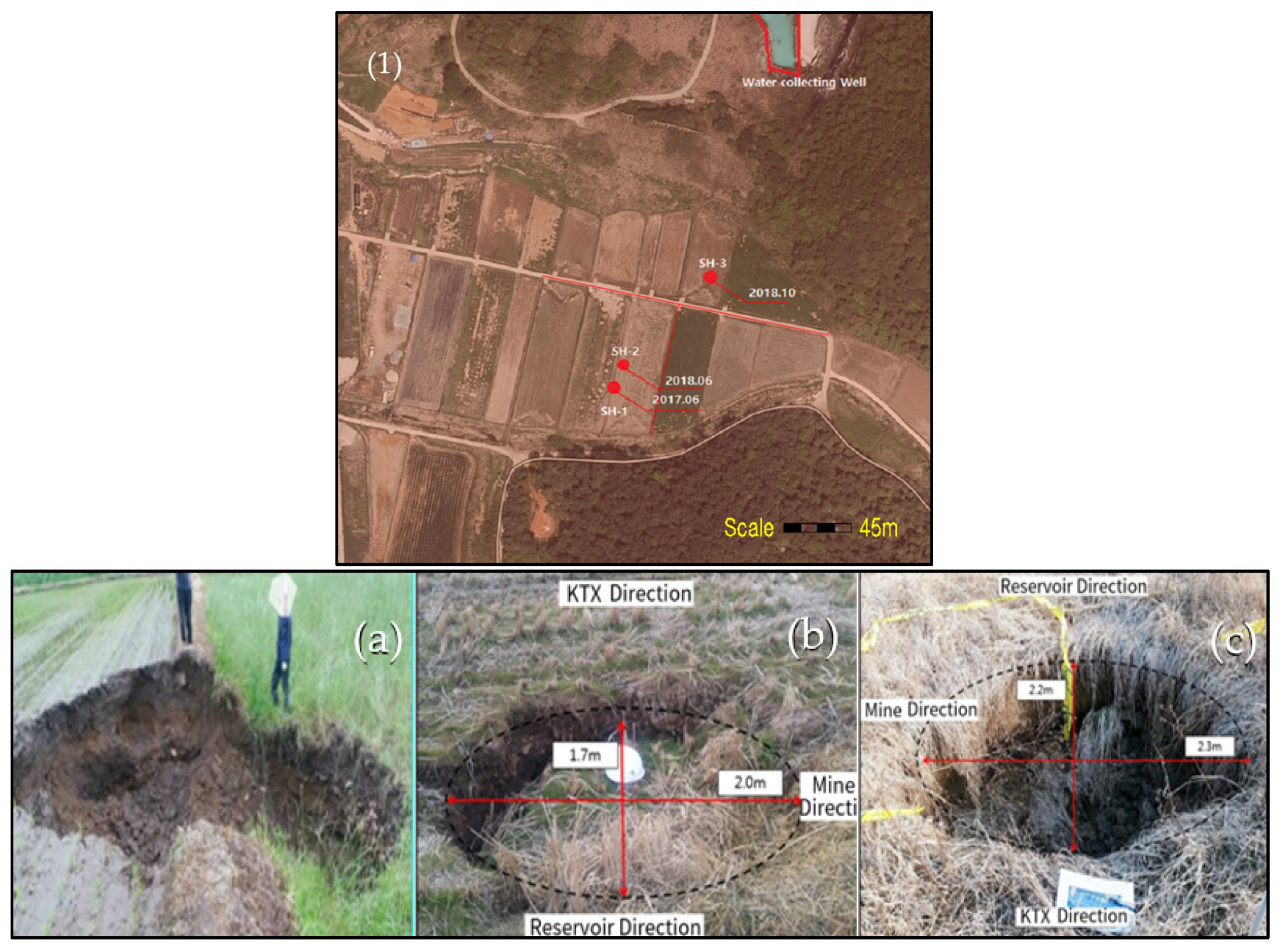 Ijerph 19 01111 g006