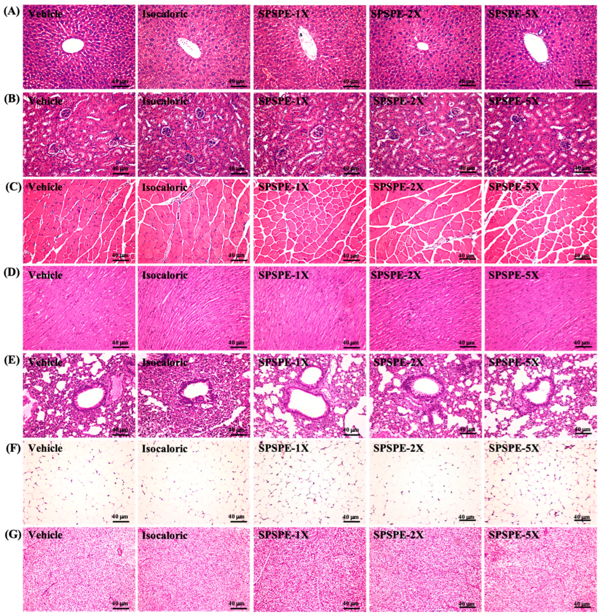 Ijerph 19 01155 g005 550