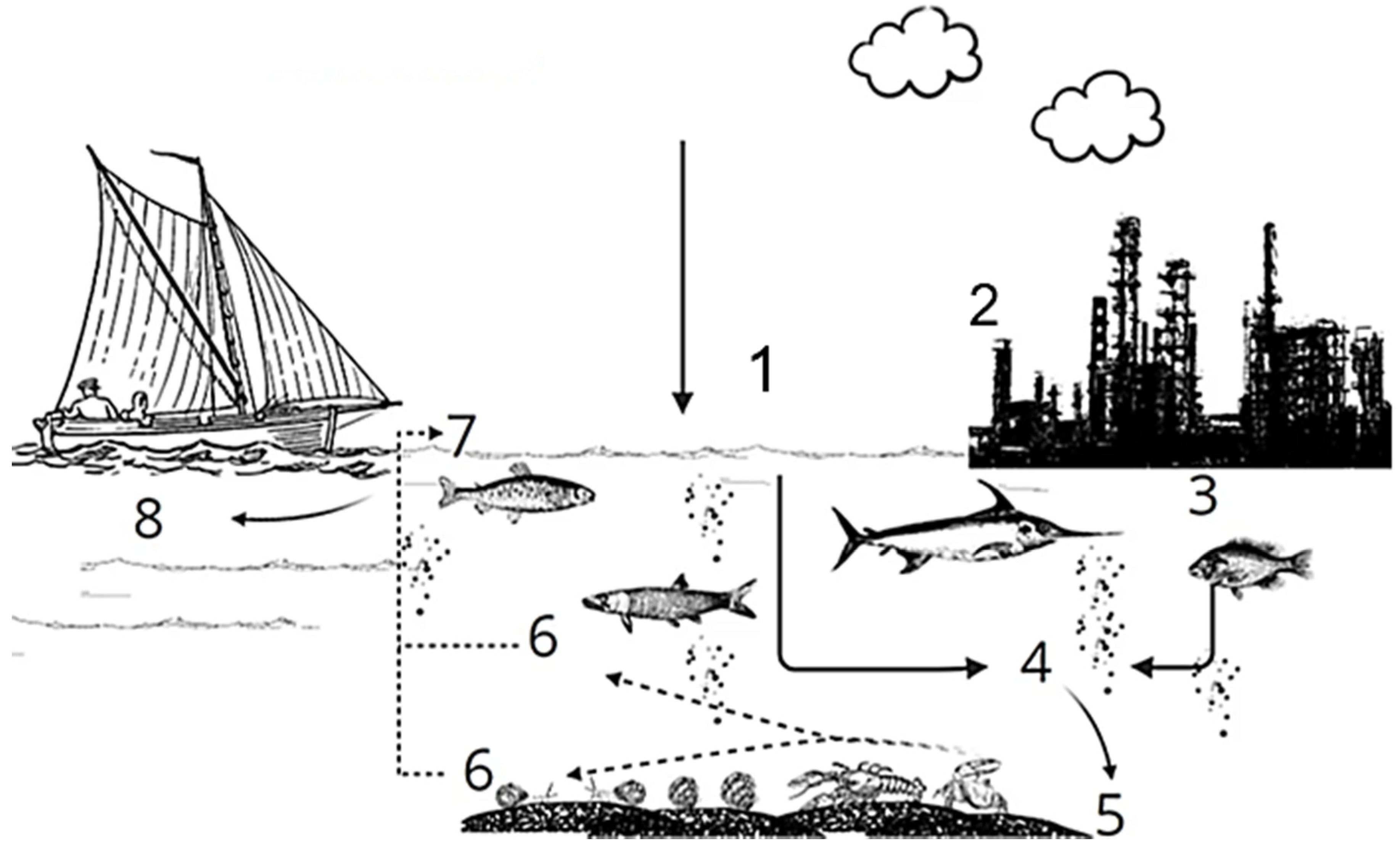 Ijerph 19 01211 g002 Ijerph 19 01211 g002