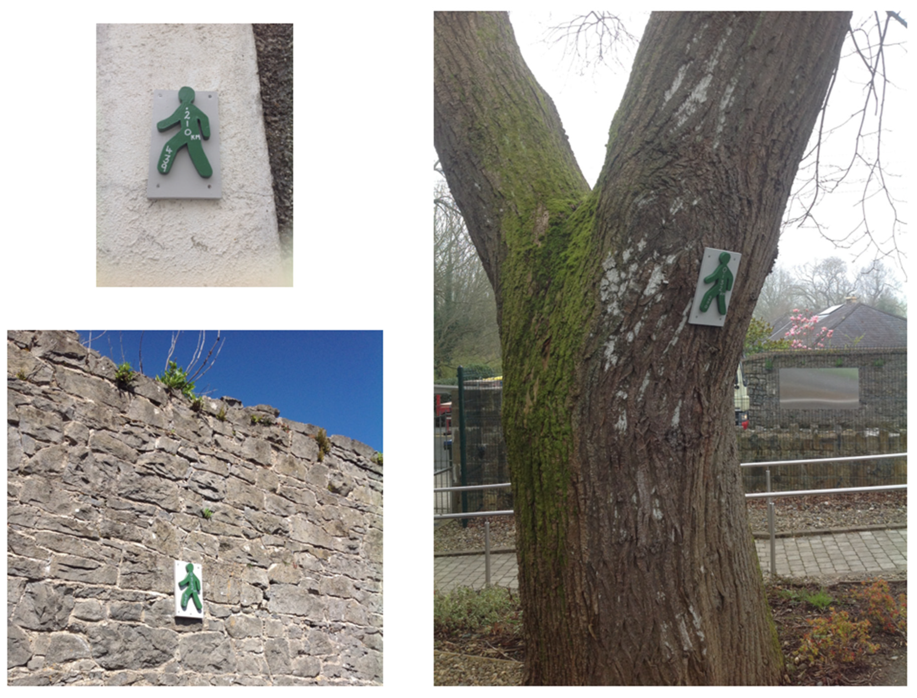 Ijerph 19 01214 g003