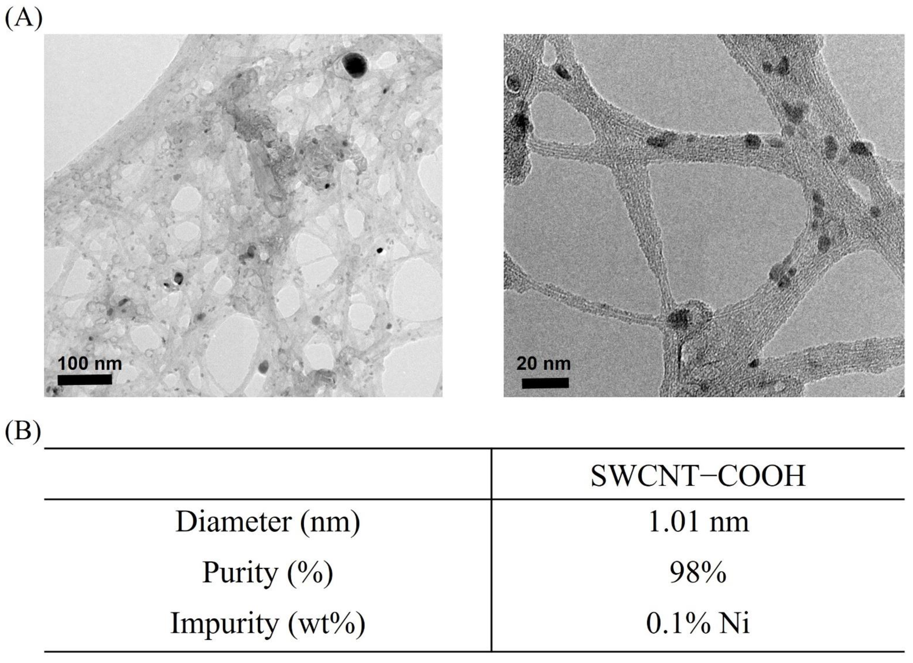 Ijerph 19 01218 g001 Ijerph 19 01218 g001