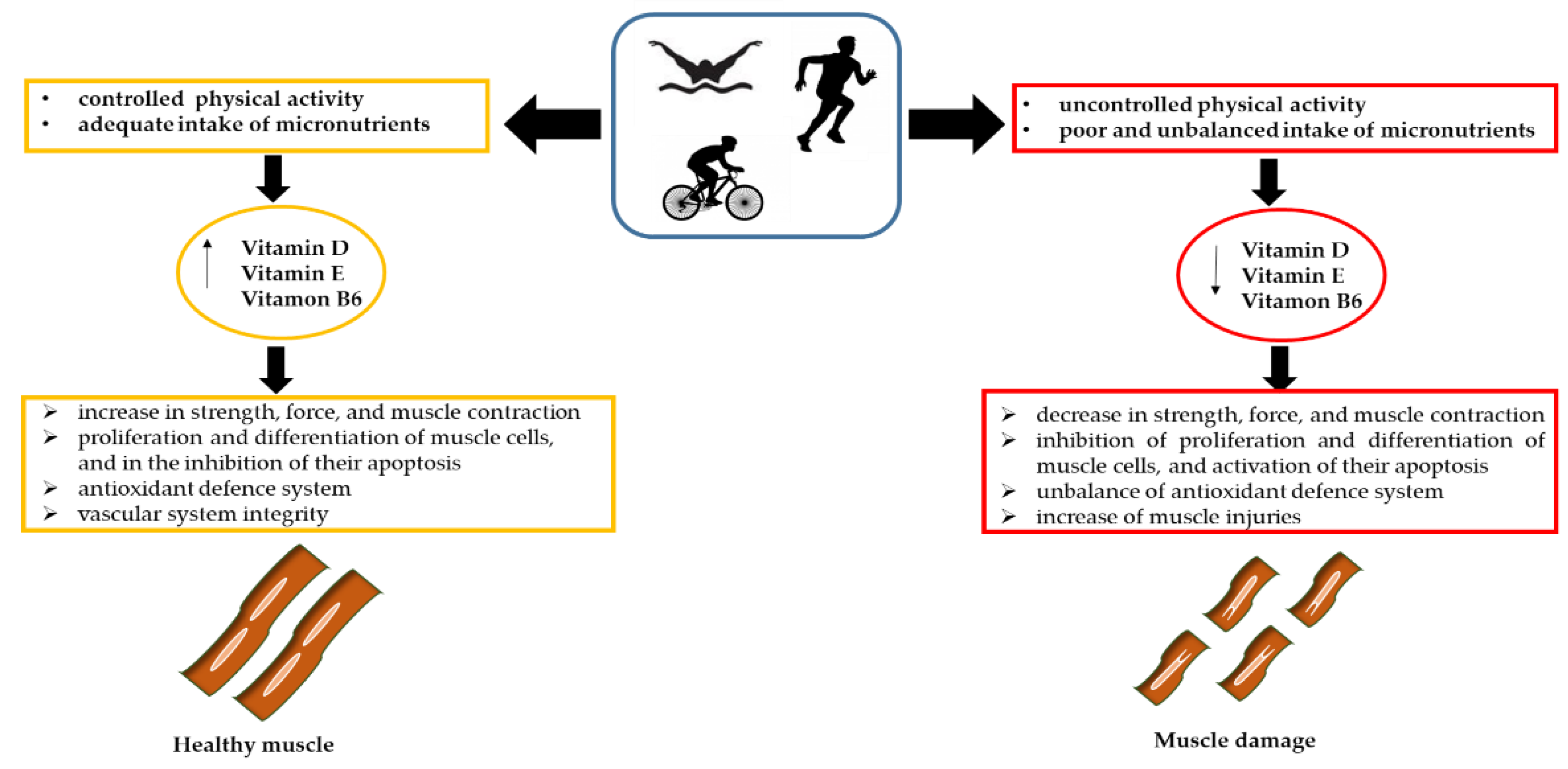 Ijerph 19 01249 g004 550