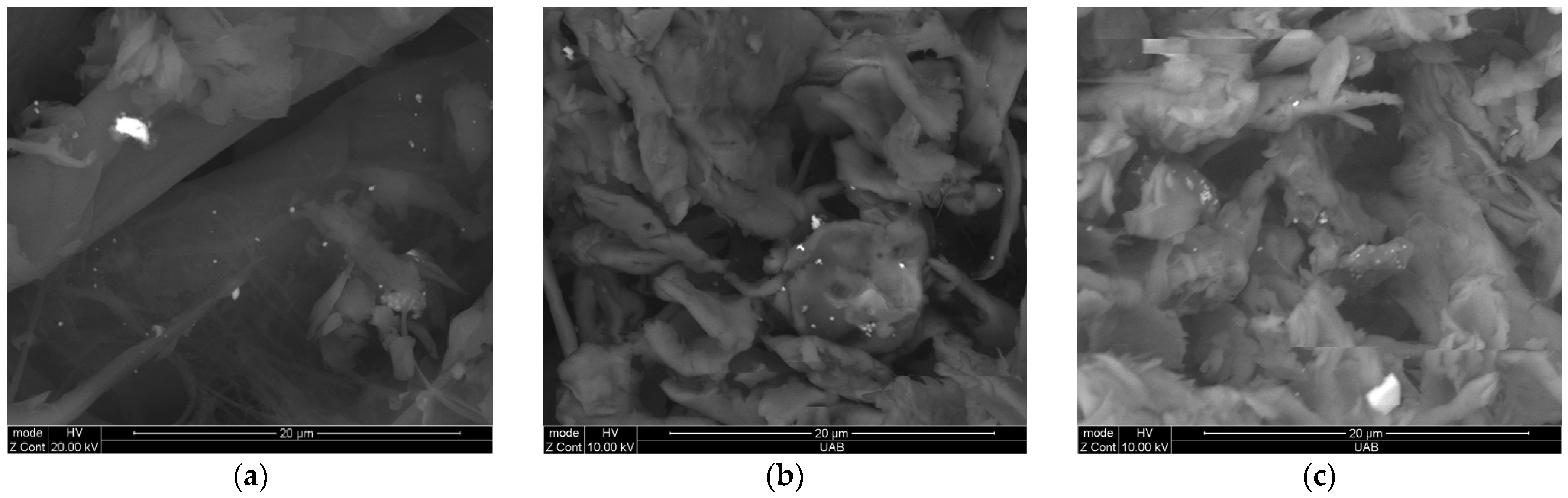 Ijerph 19 01265 g002 Ijerph 19 01265 g002