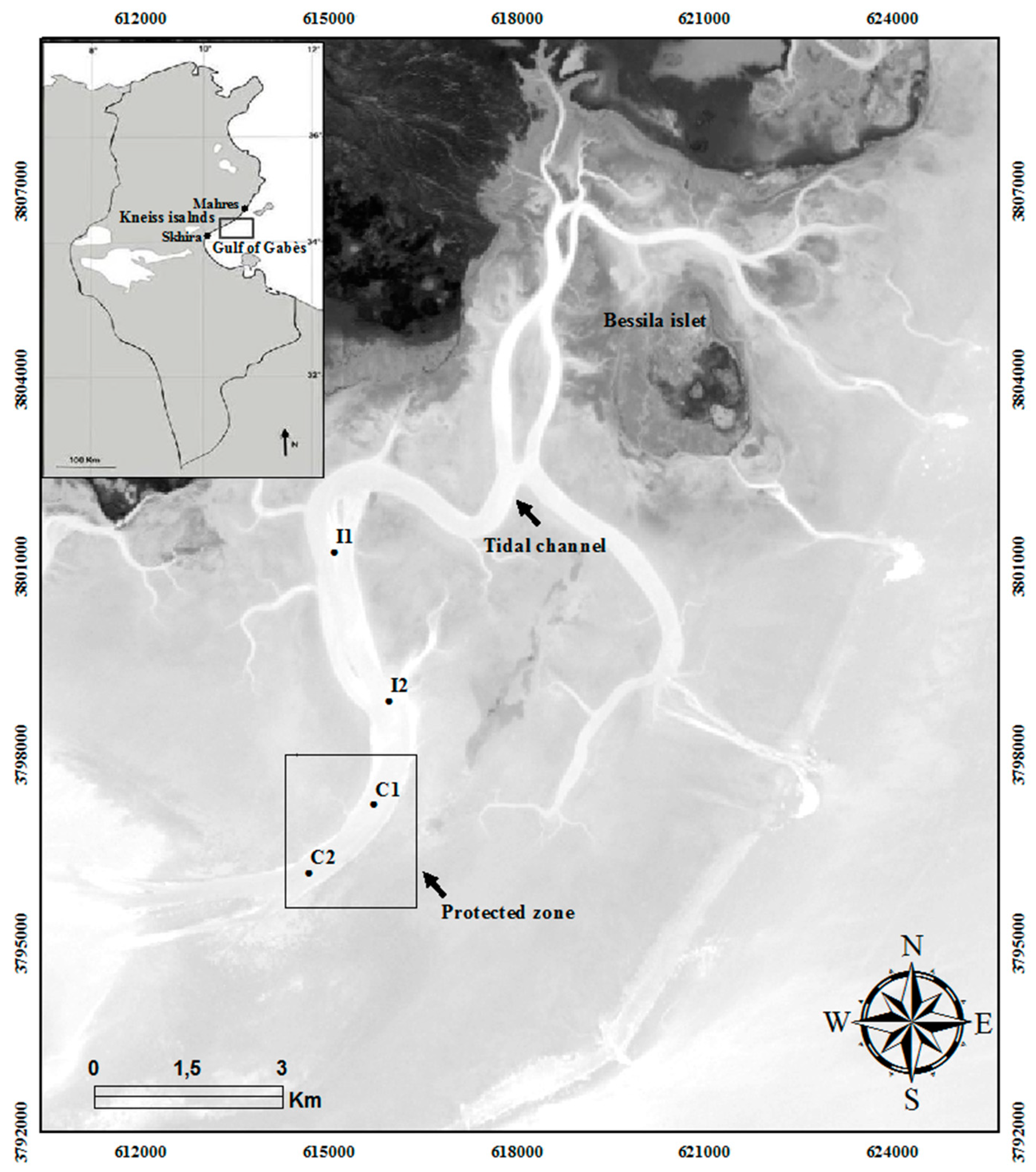 Ijerph 19 01282 g001 Ijerph 19 01282 g001