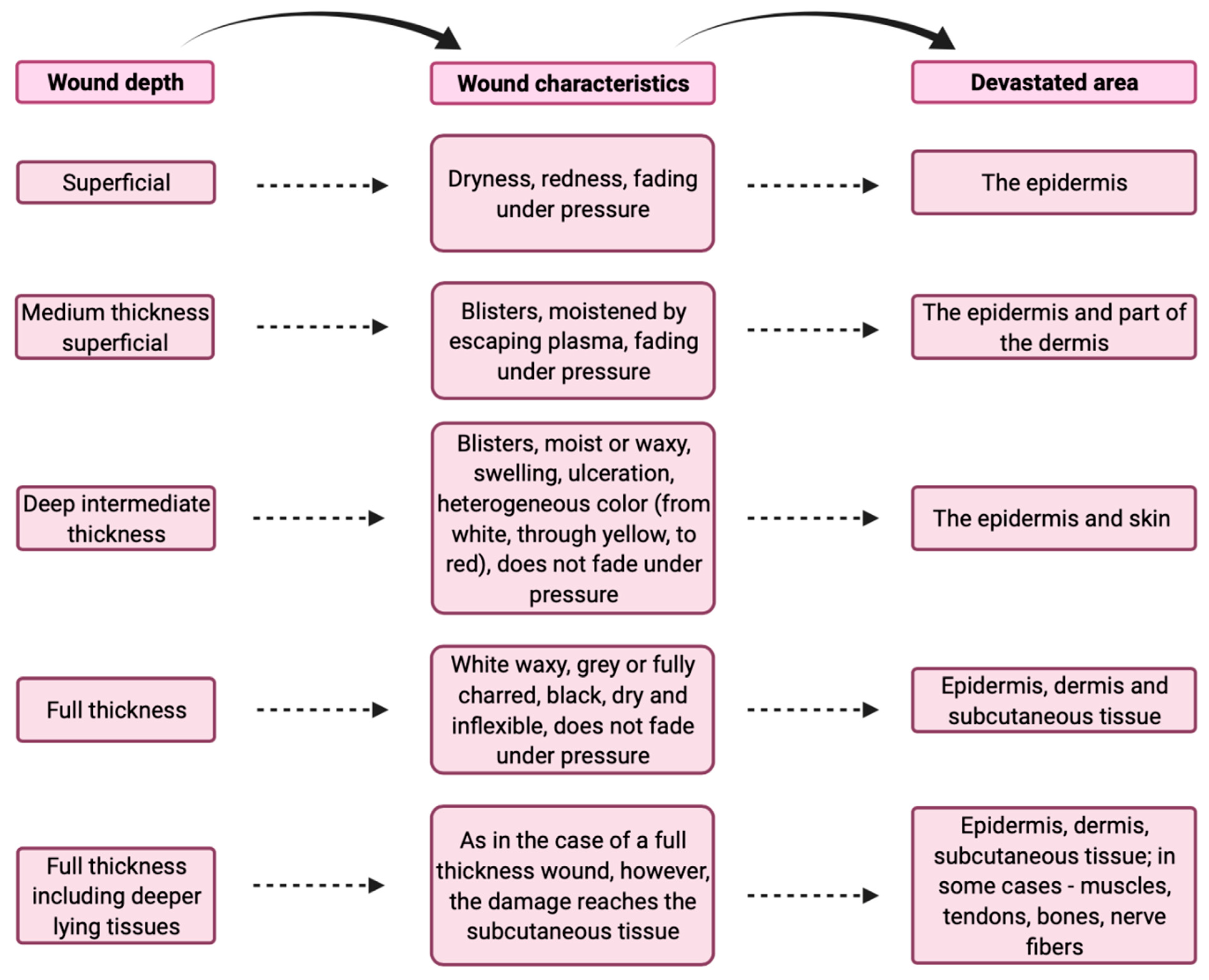 Ijerph 19 01338 g002