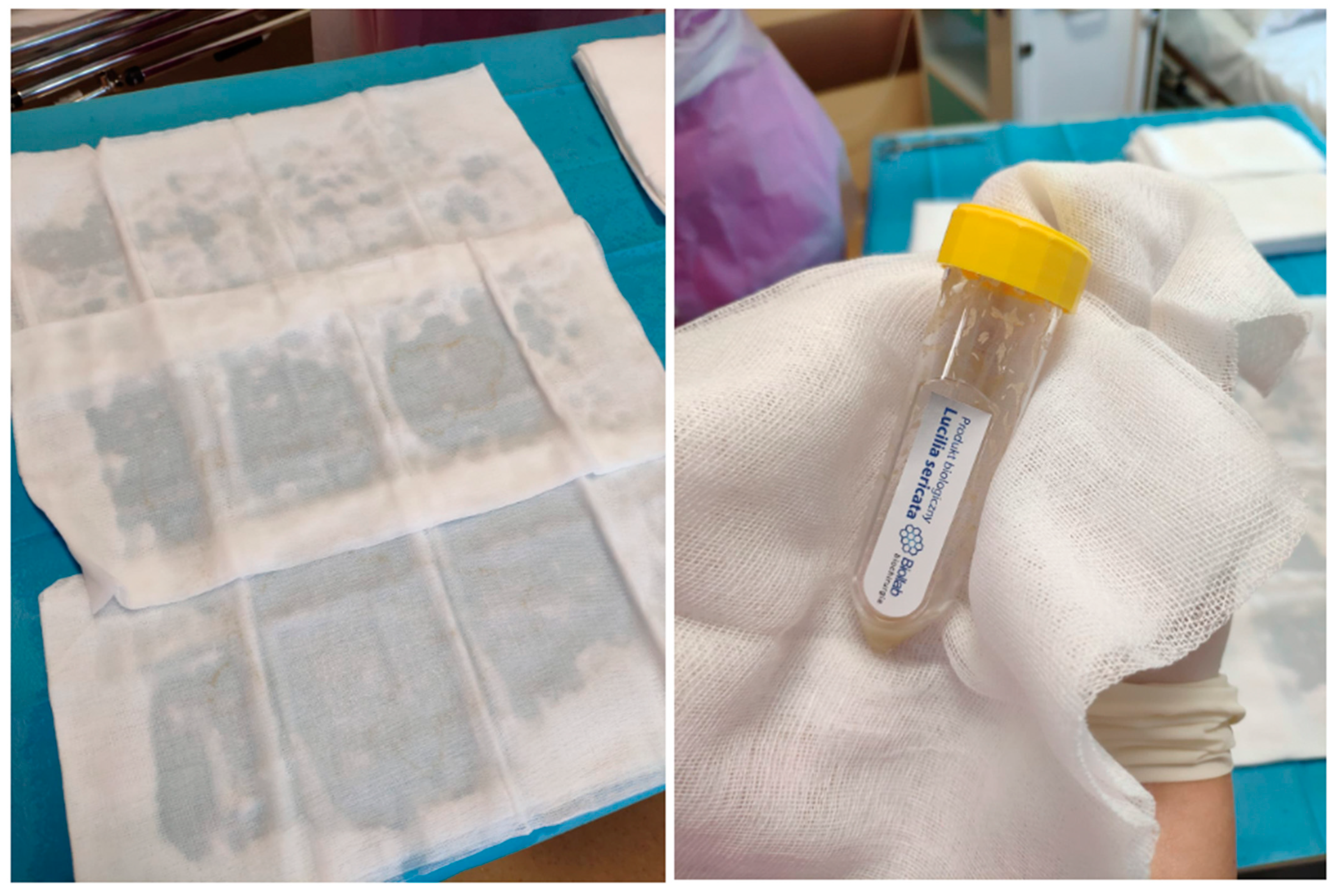 Ijerph 19 01338 g008