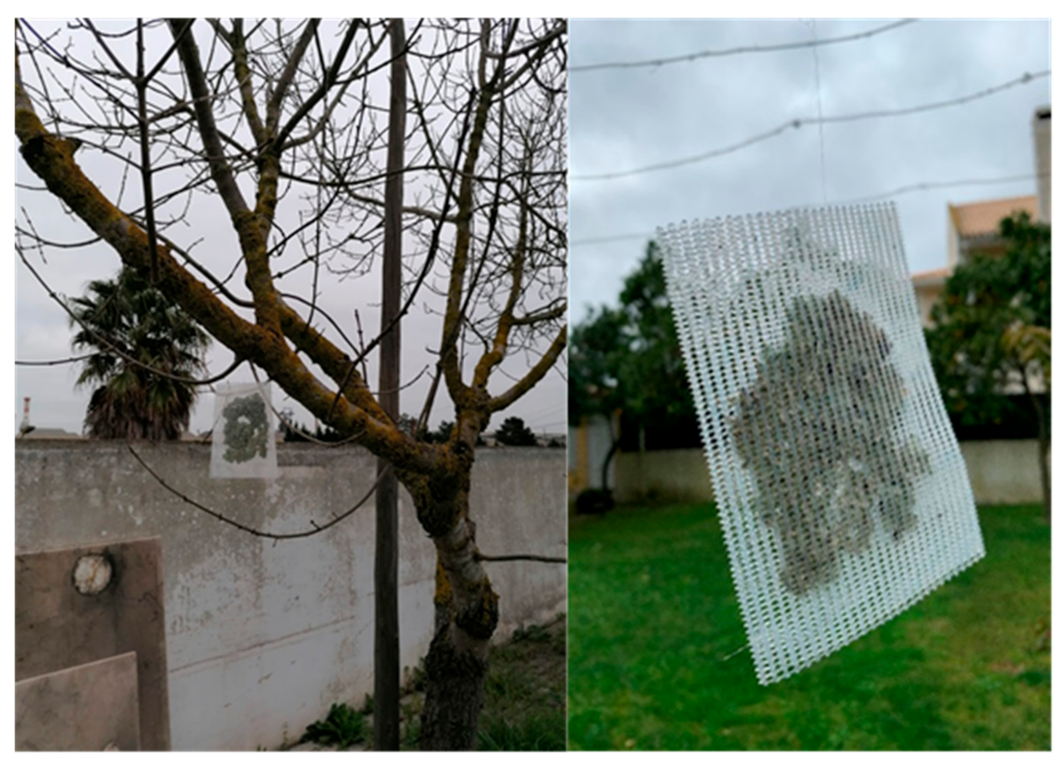 Ijerph 19 01364 g002 Ijerph 19 01364 g002