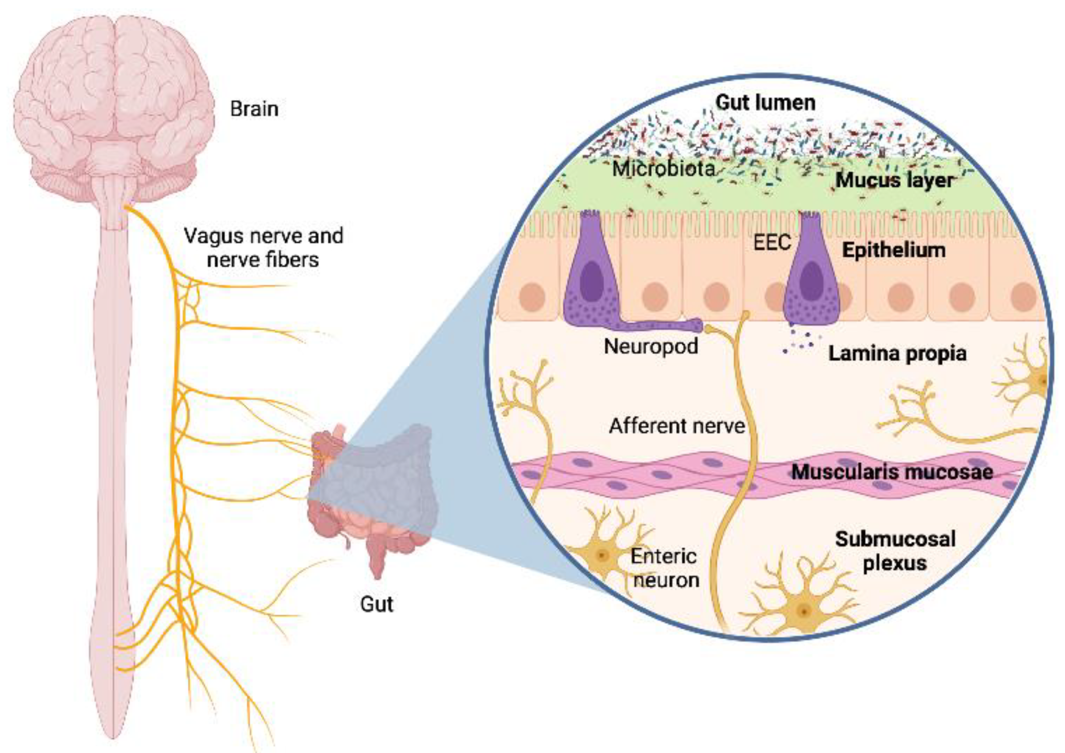Ijerph 19 01368 g002 550