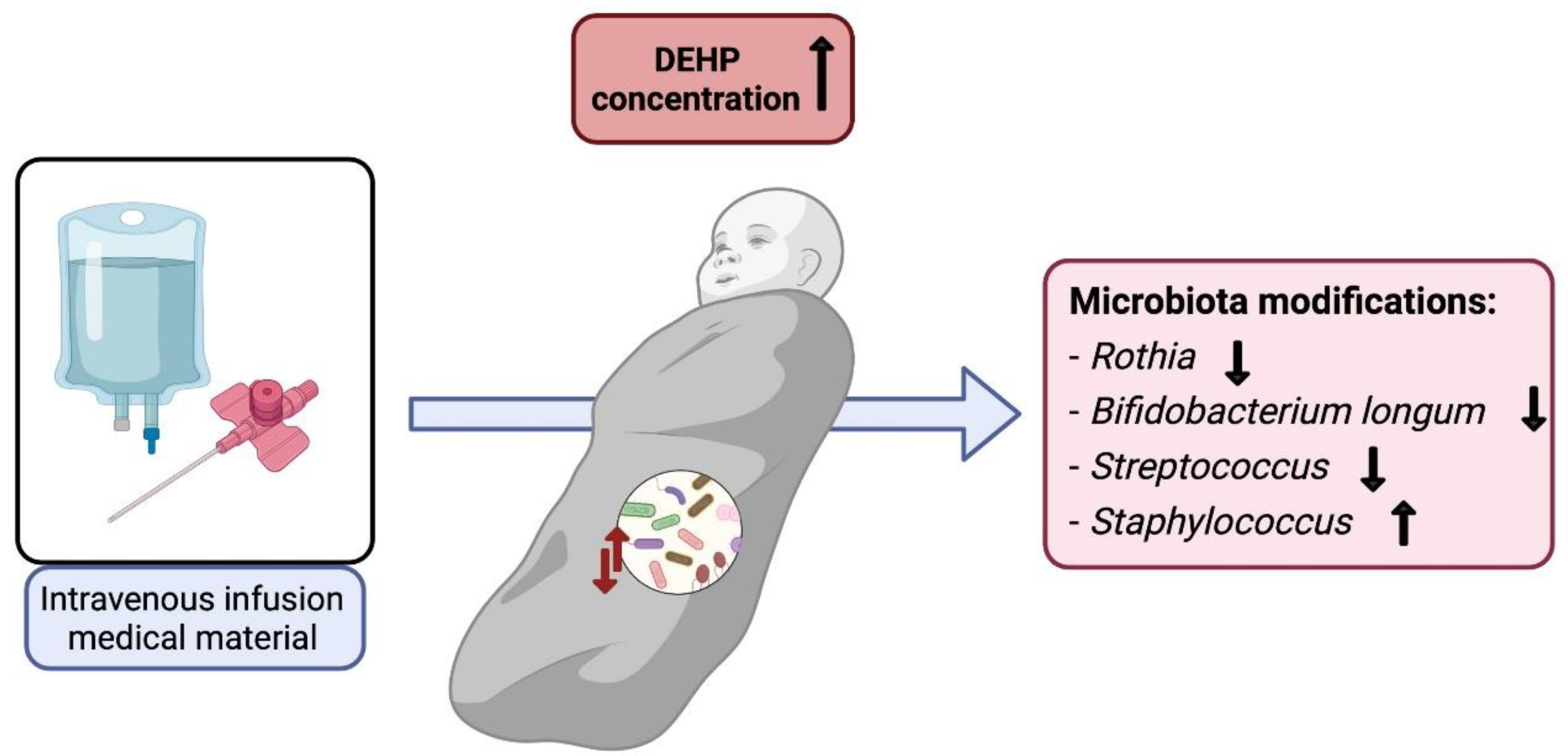 Ijerph 19 01368 g004 550
