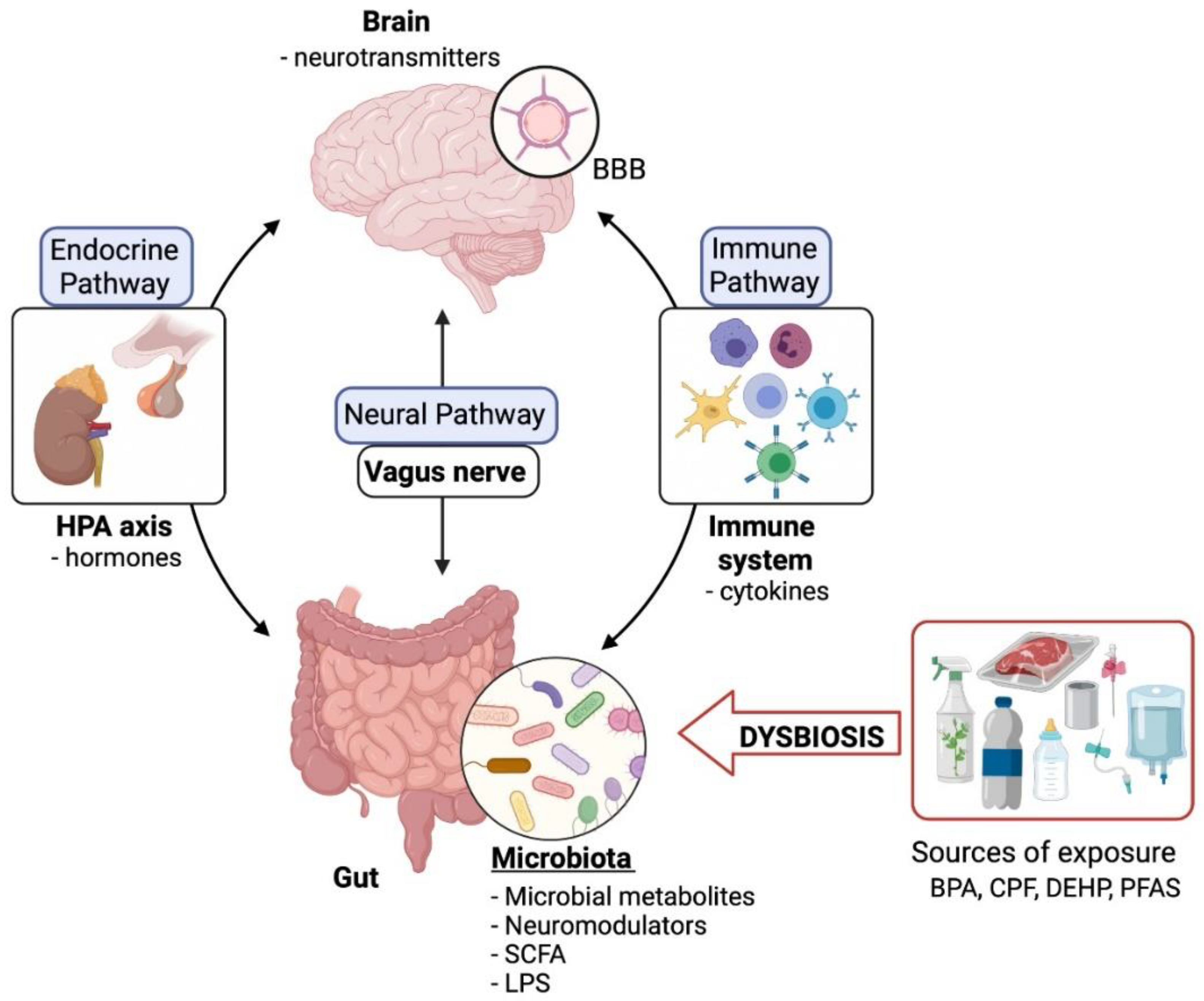 Ijerph 19 01368 g005 550