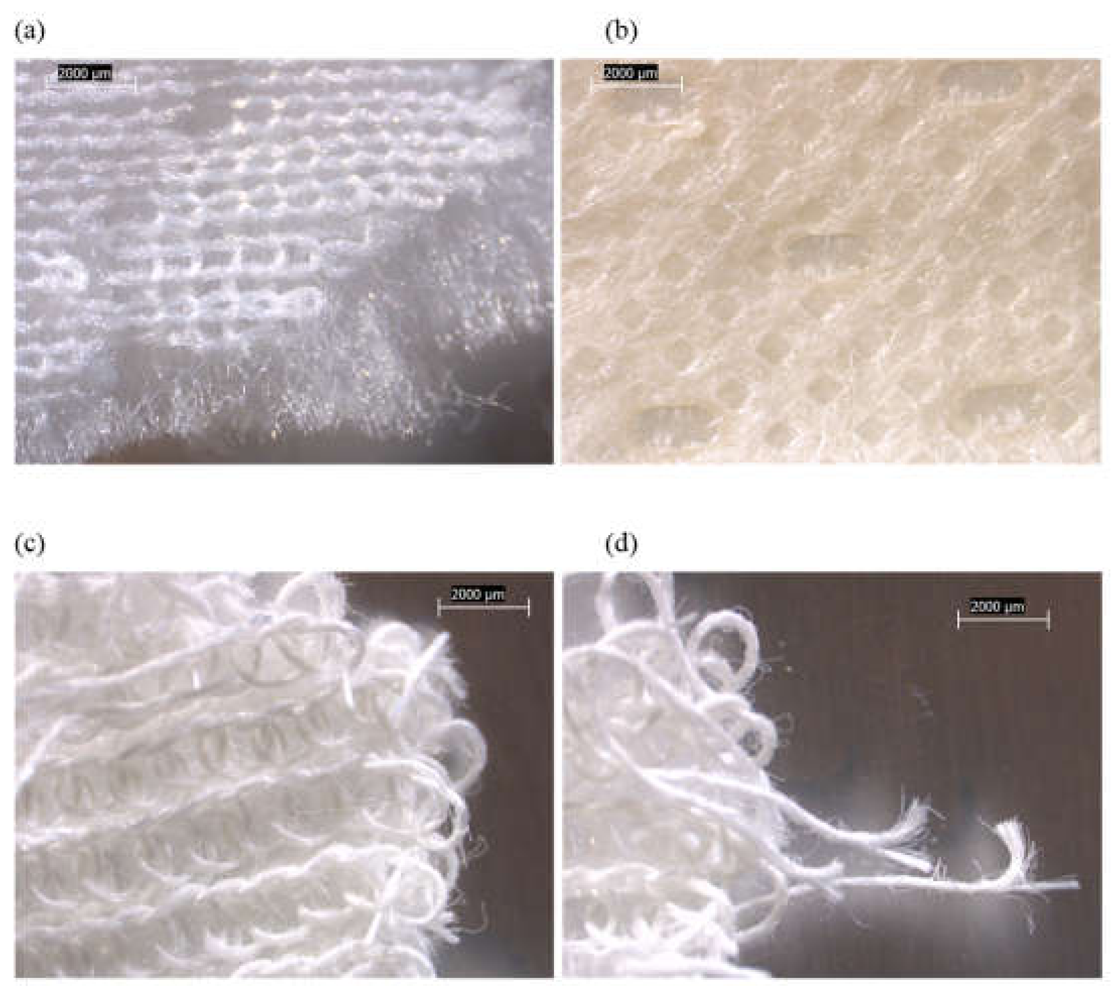 Ijerph 19 01695 g004