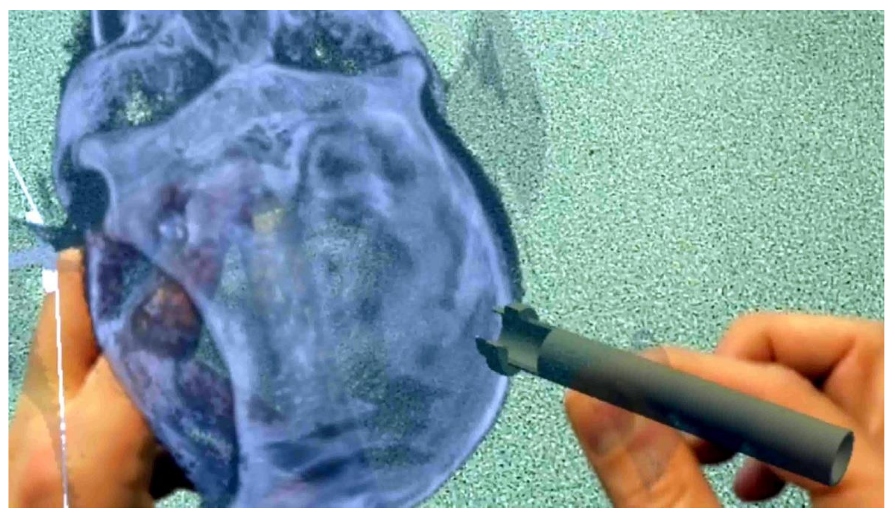 Ijerph 19 01719 g001 550